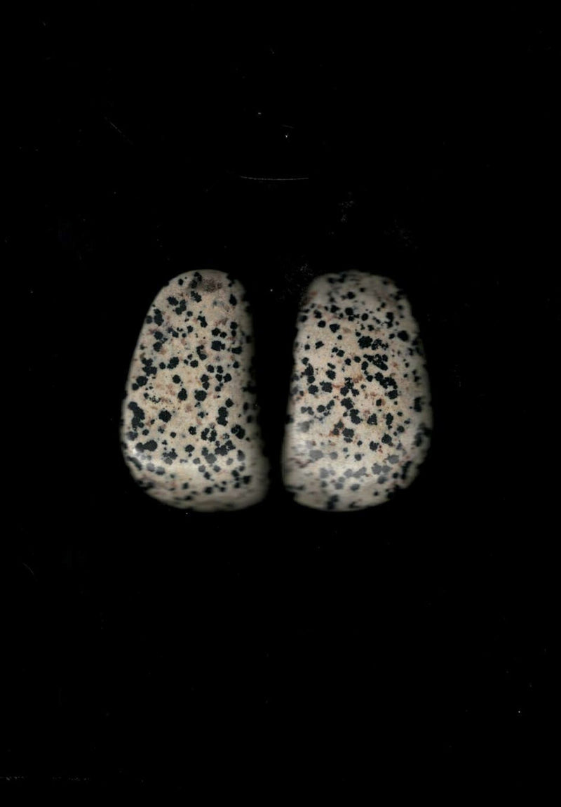 Earrings: dalmatian jasper