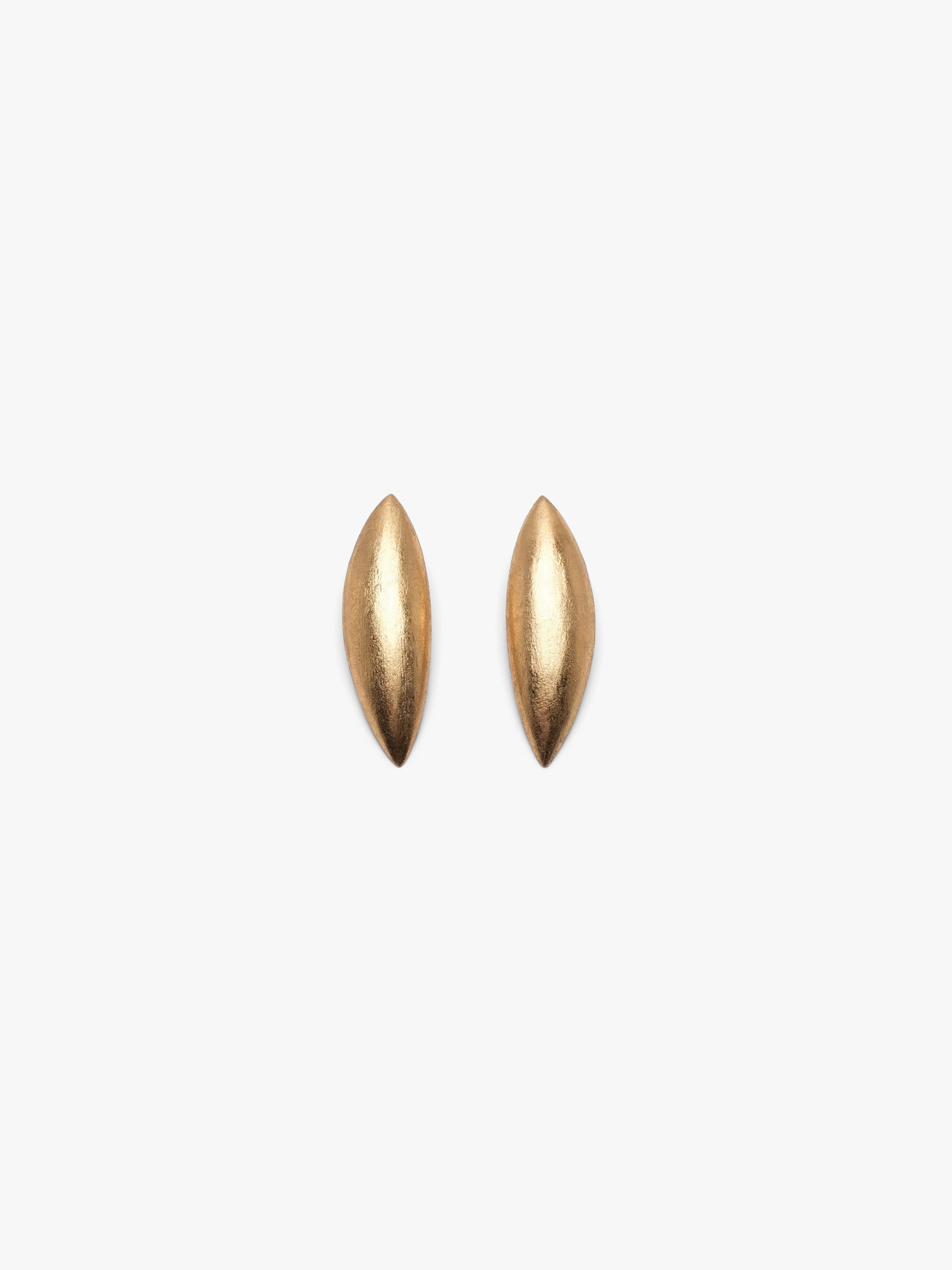 Pair of gold earrings on a white background