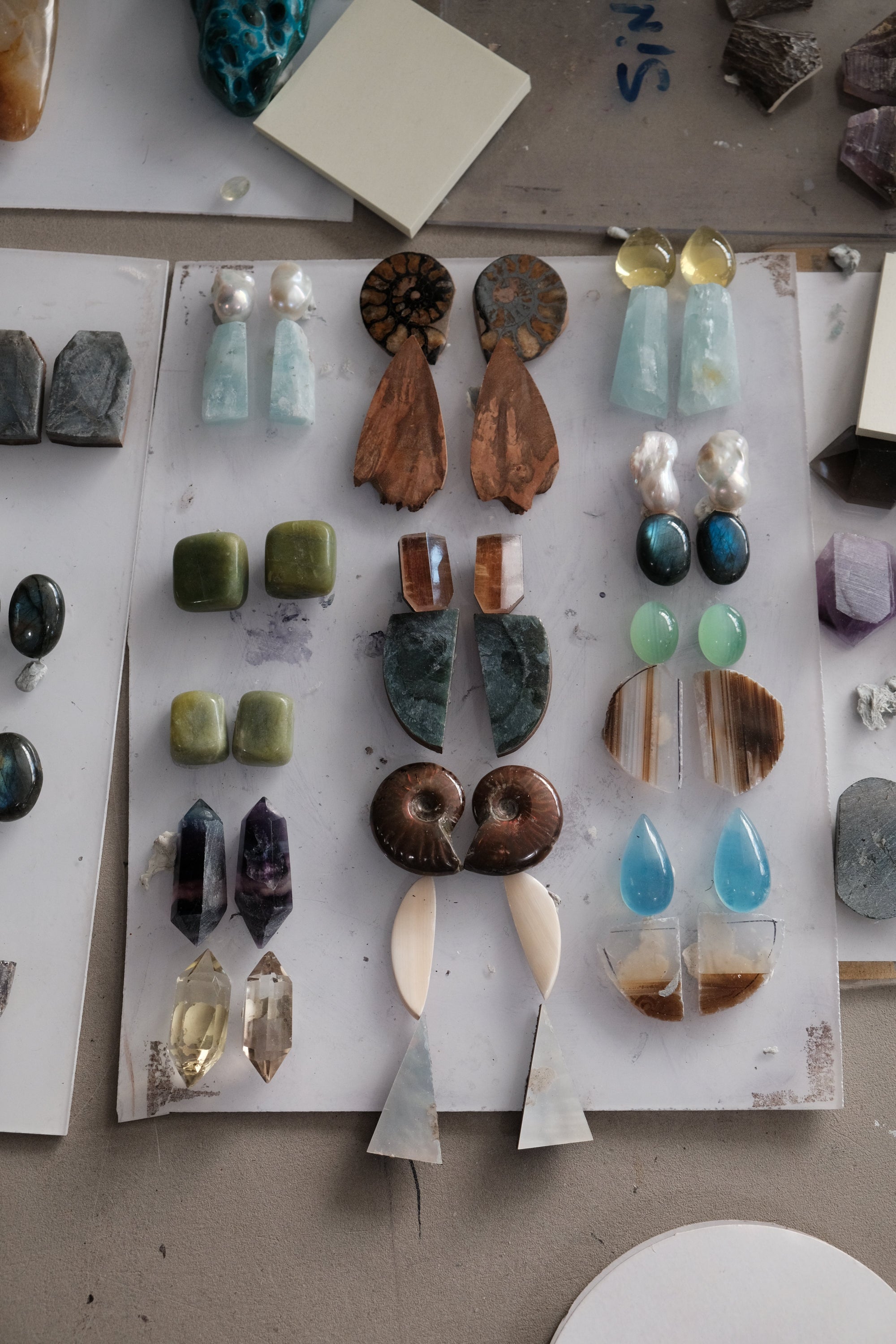 Earrings: ammonite, briar root