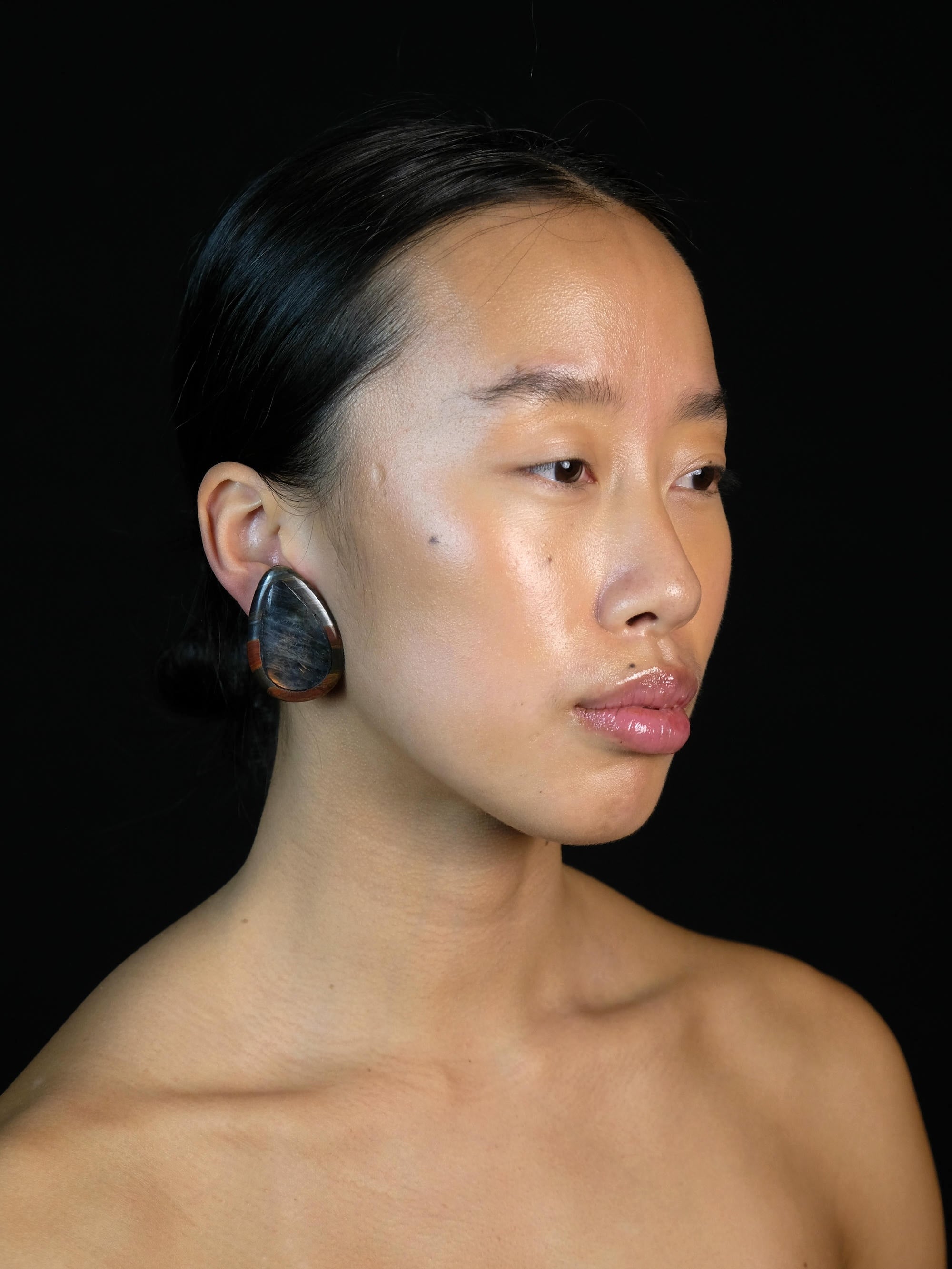 Earrings: labradorite, tiger iron