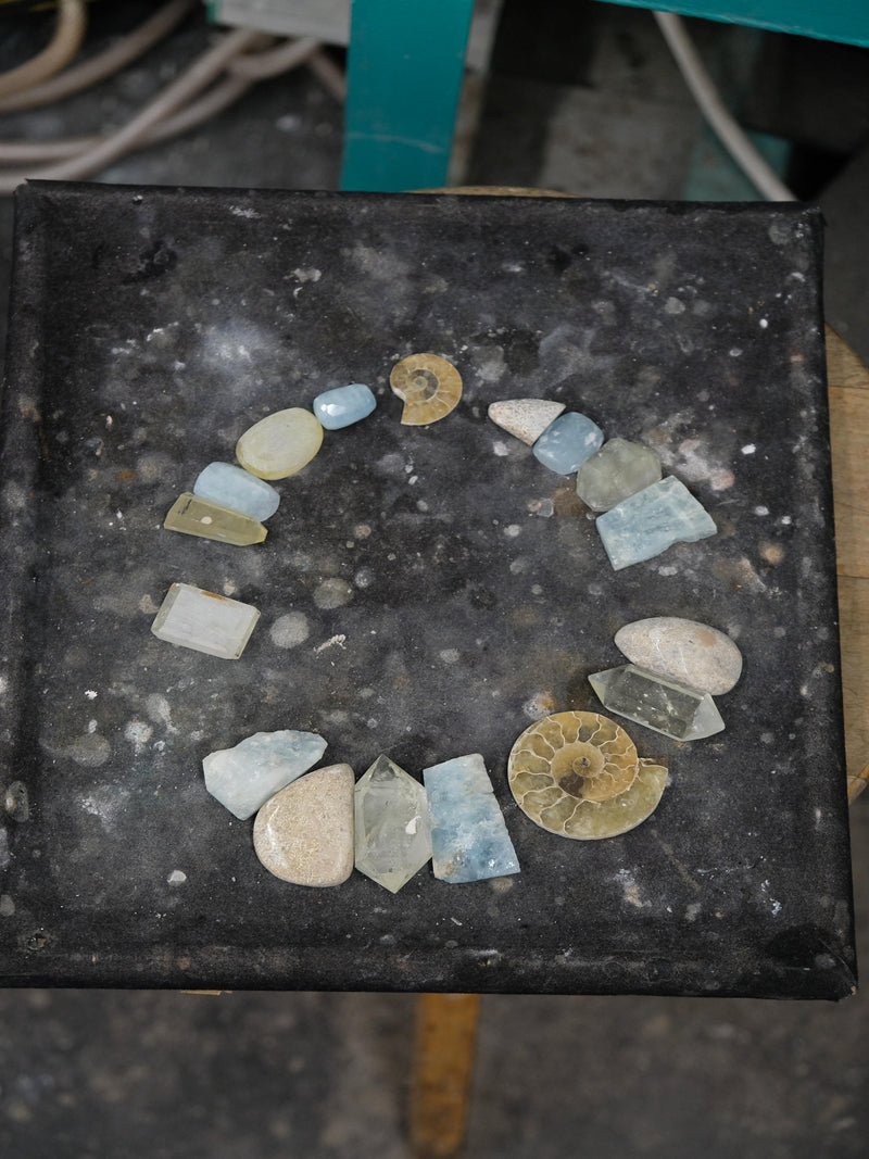Collection of assorted stones and fossils on a dark surface