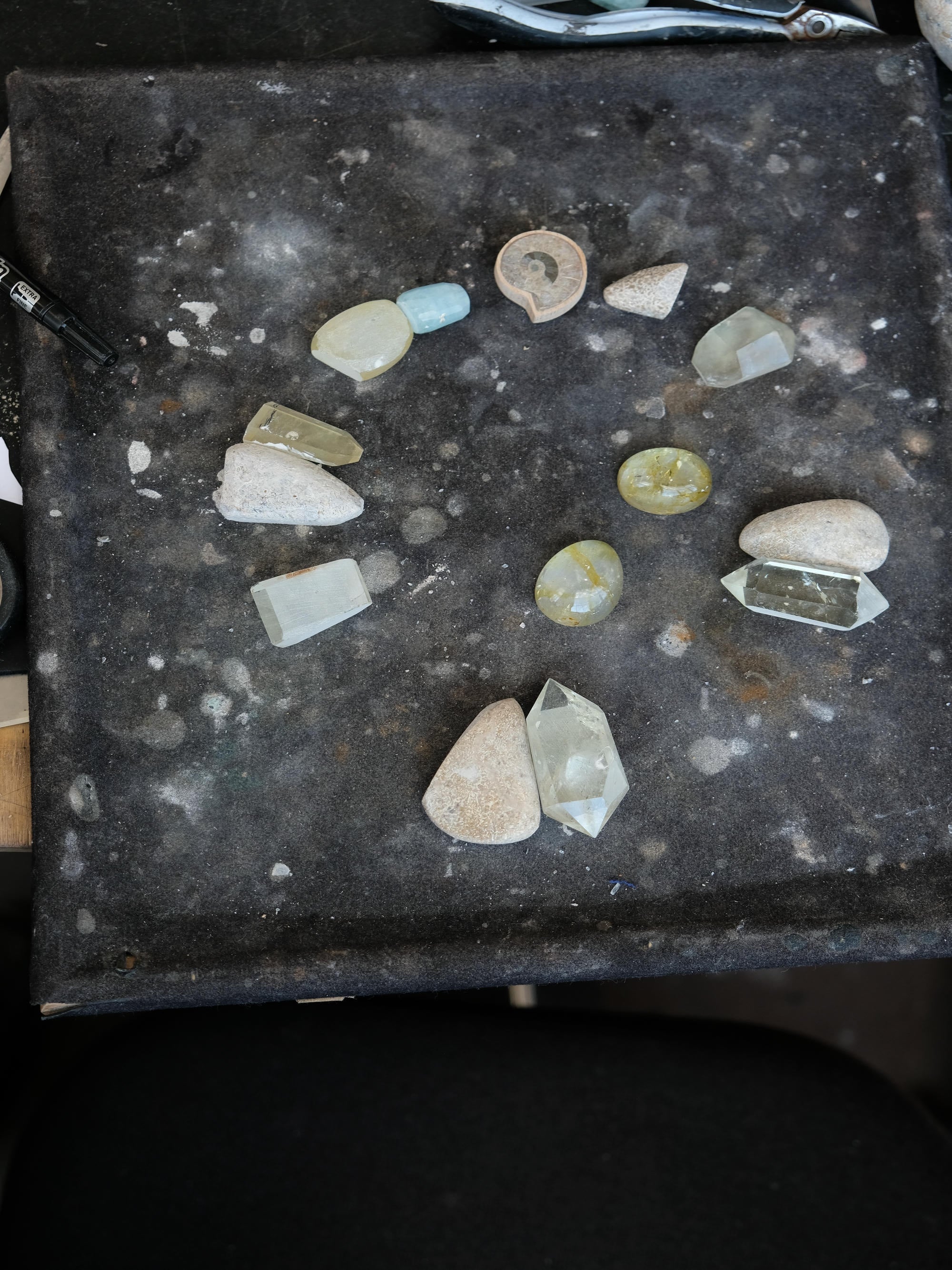 Collection of assorted stones and fossils on a dark surface