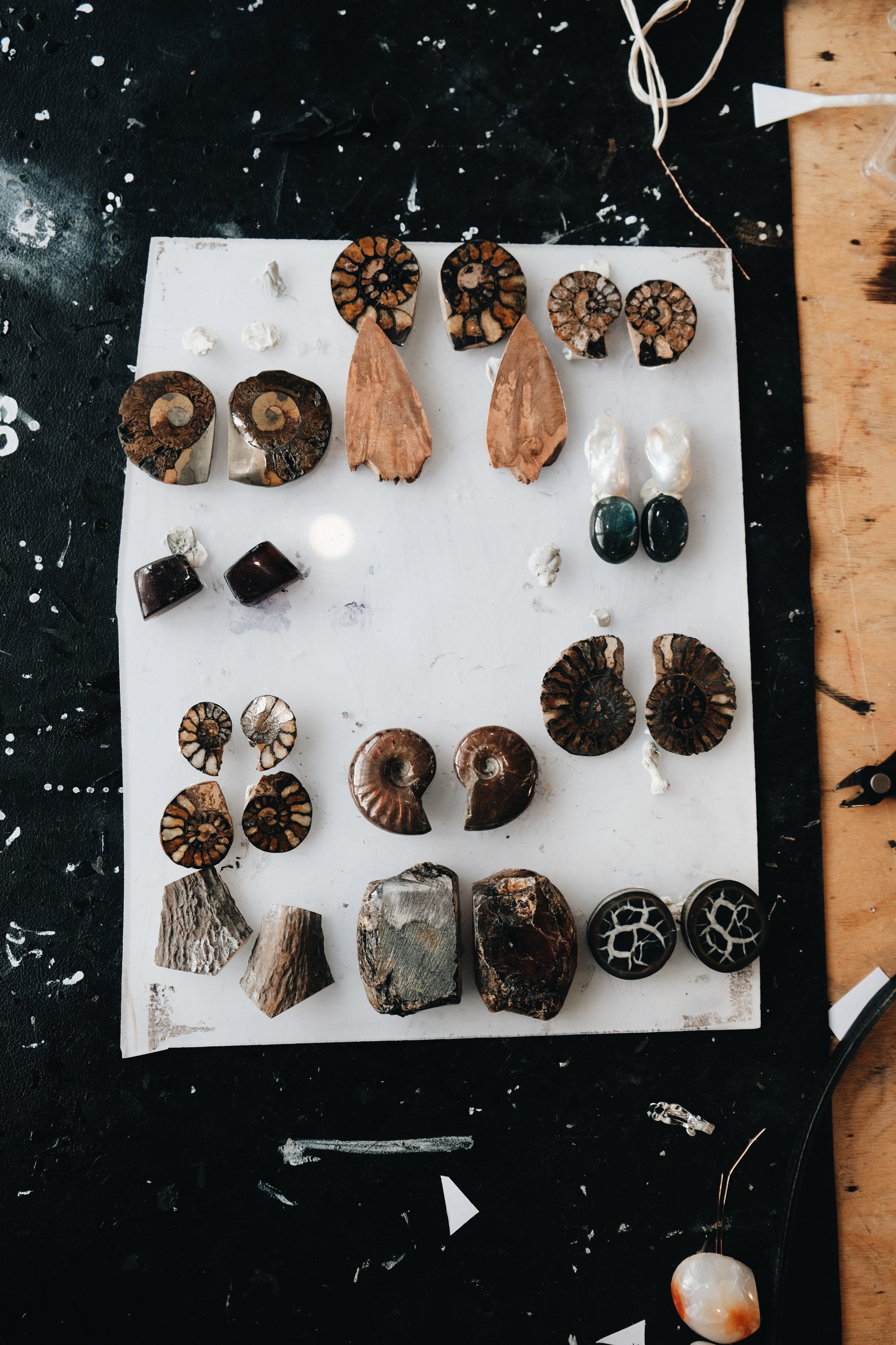 Earrings: ammonite, brior root