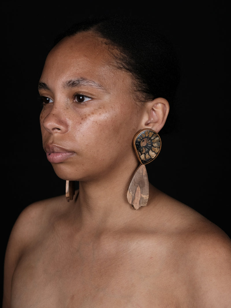 Earrings: ammonite, briar root