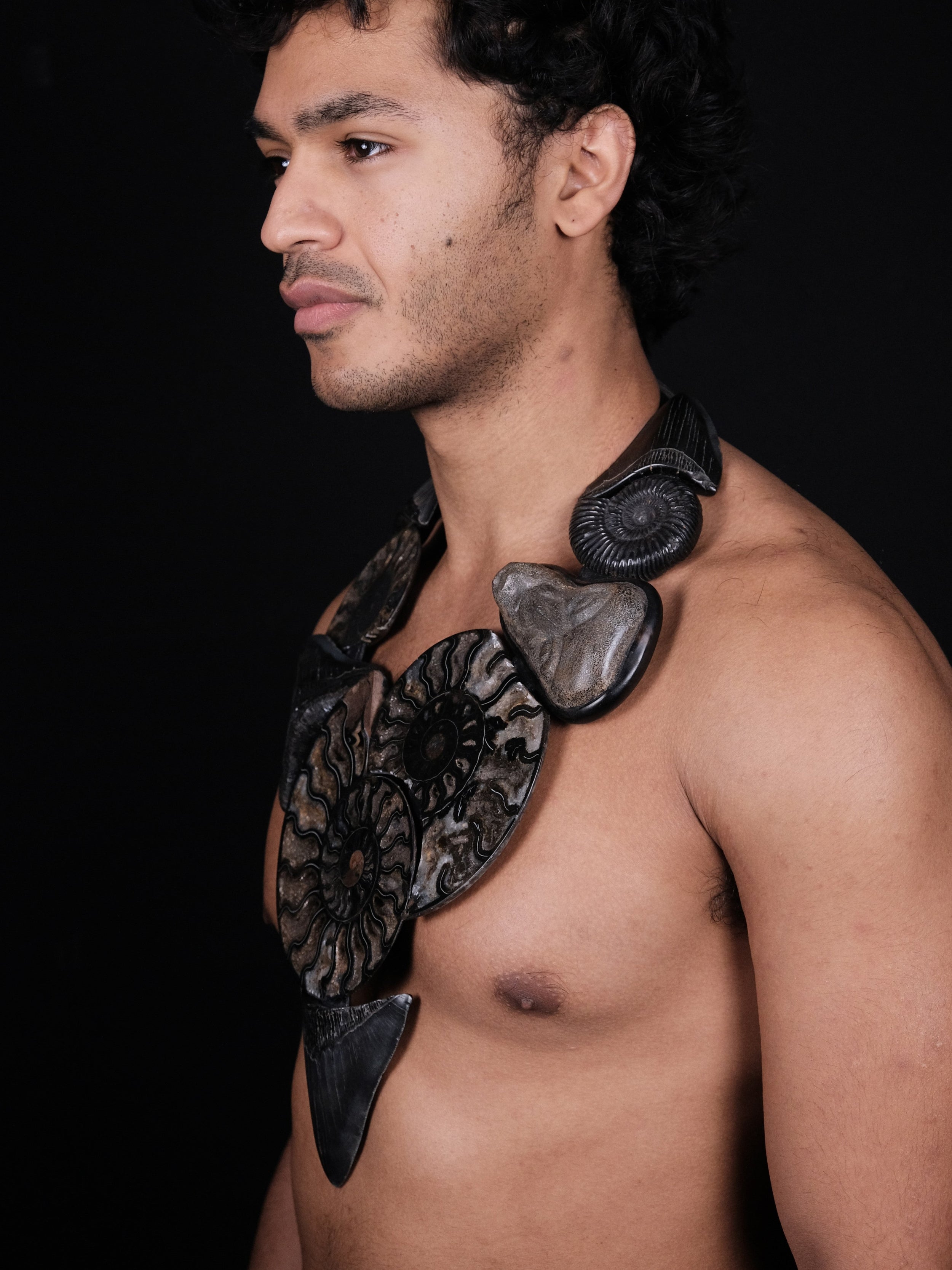 Necklace: prehistoric shark tooth, ammonites