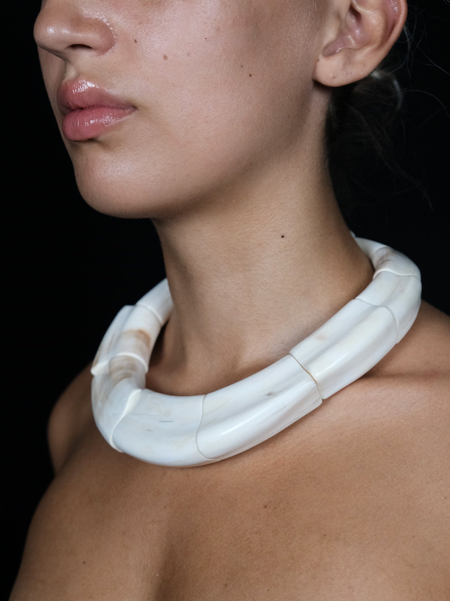 Necklace: warthog