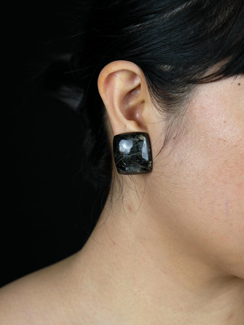 Earrings: nuummite