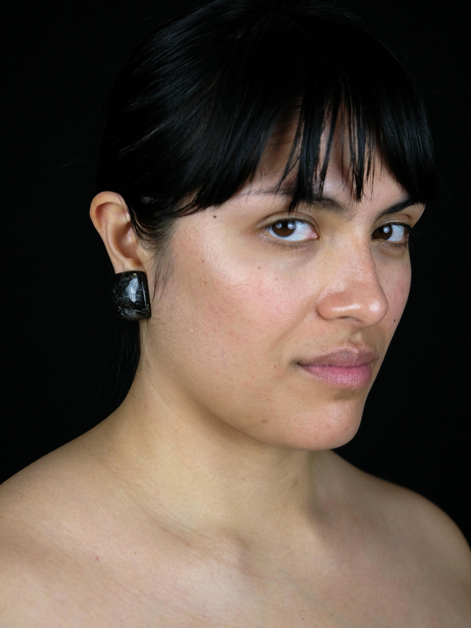 Earrings: nuummite
