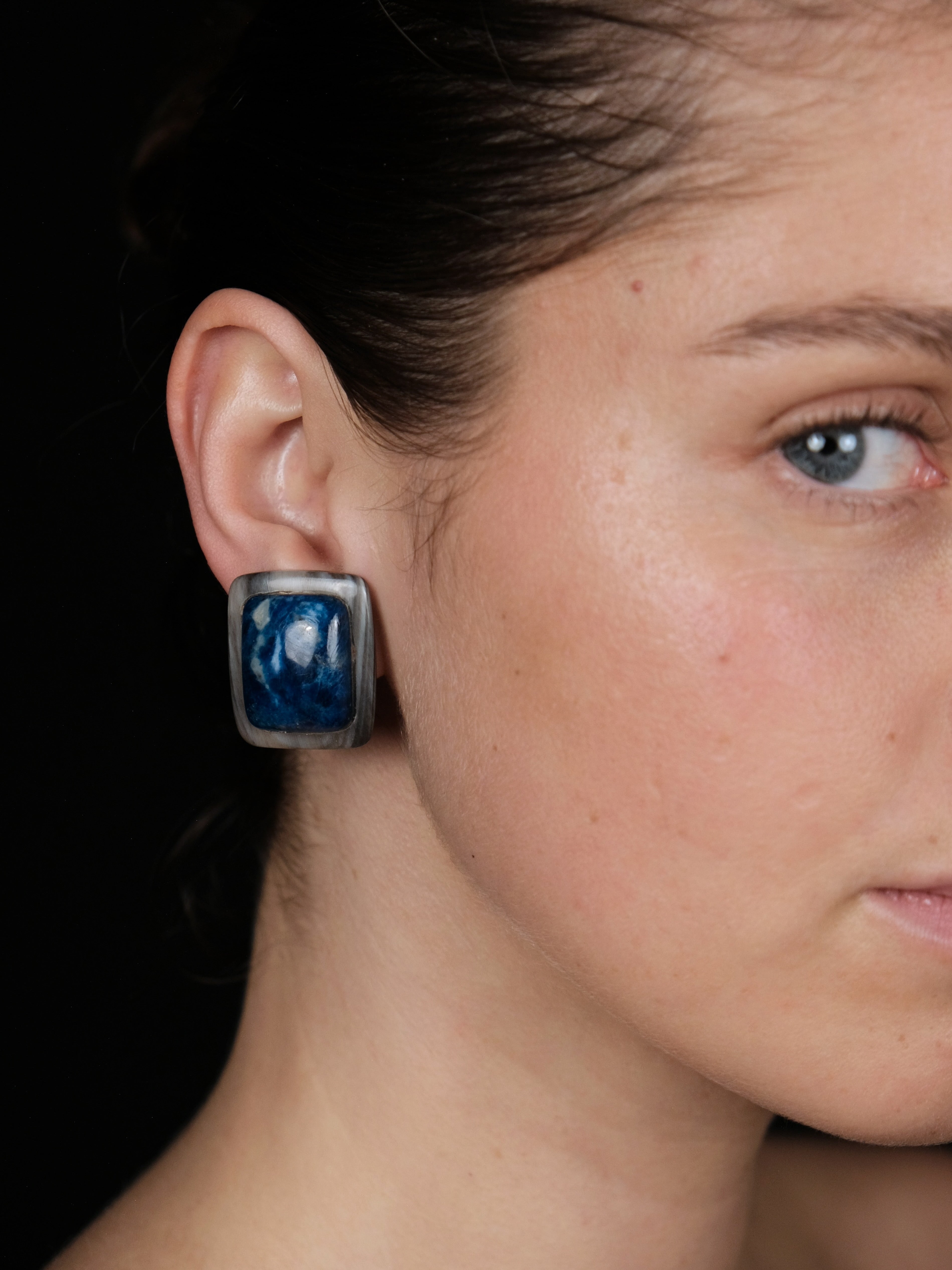 Earrings: apatite, horn