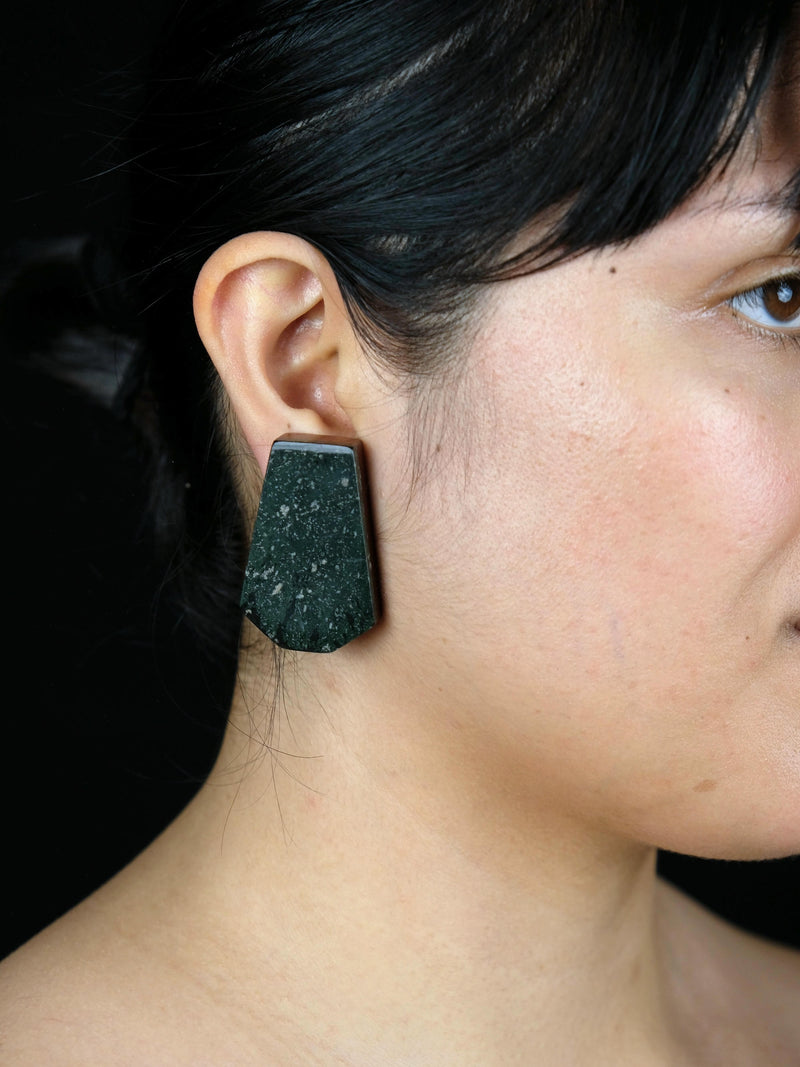 Earrings: jasper, padouk