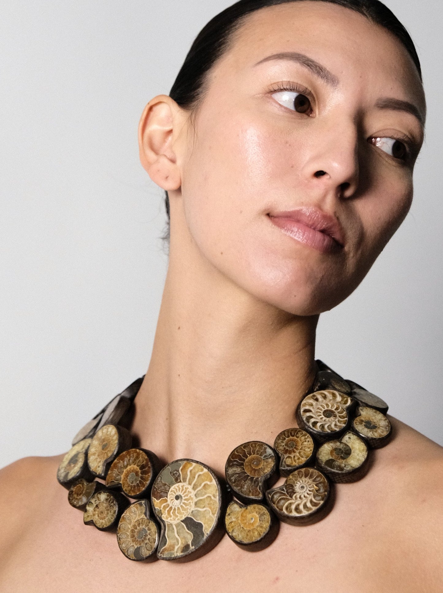 Necklace: ammonites, bog oak