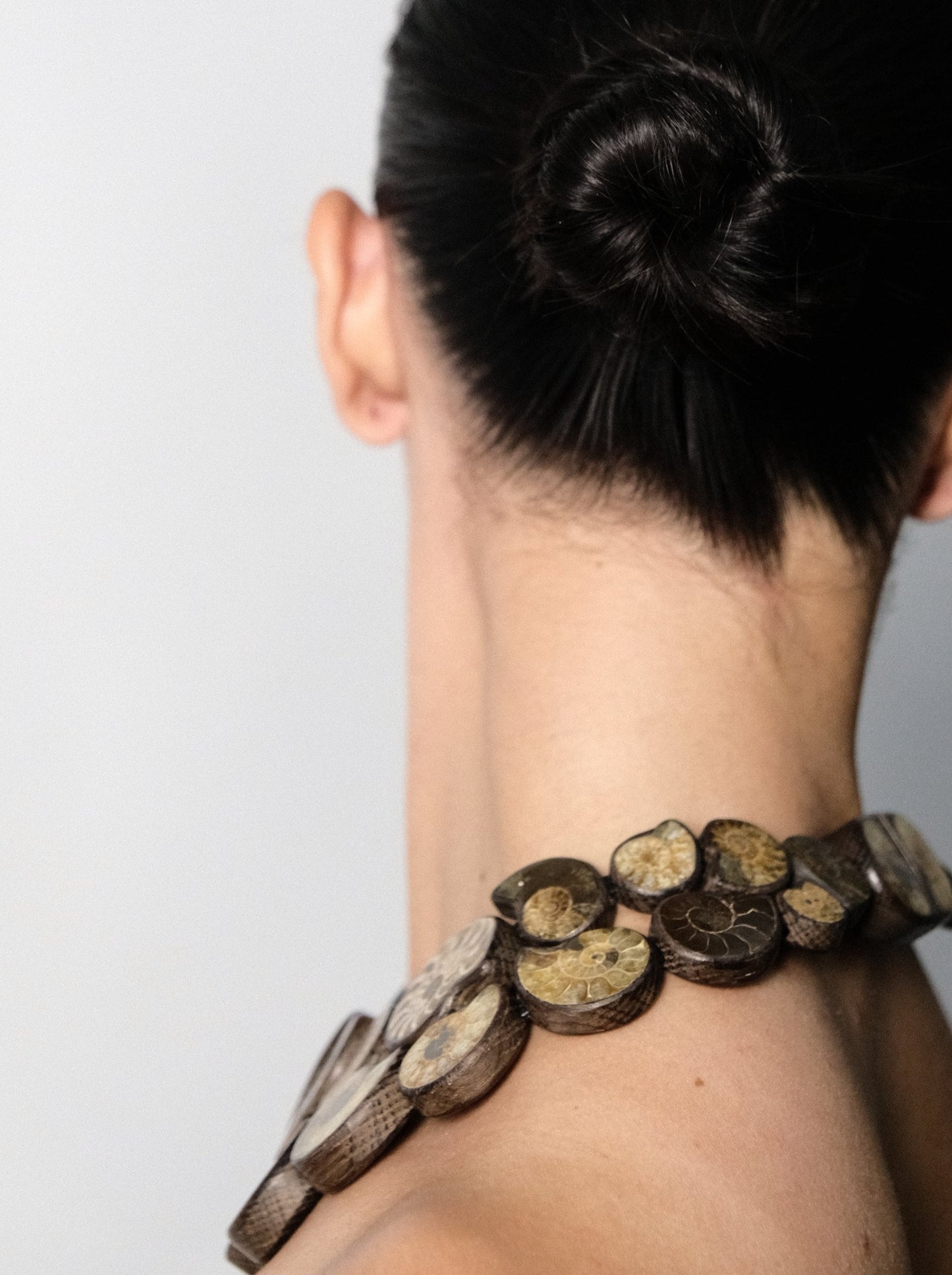 Necklace: ammonites, bog oak