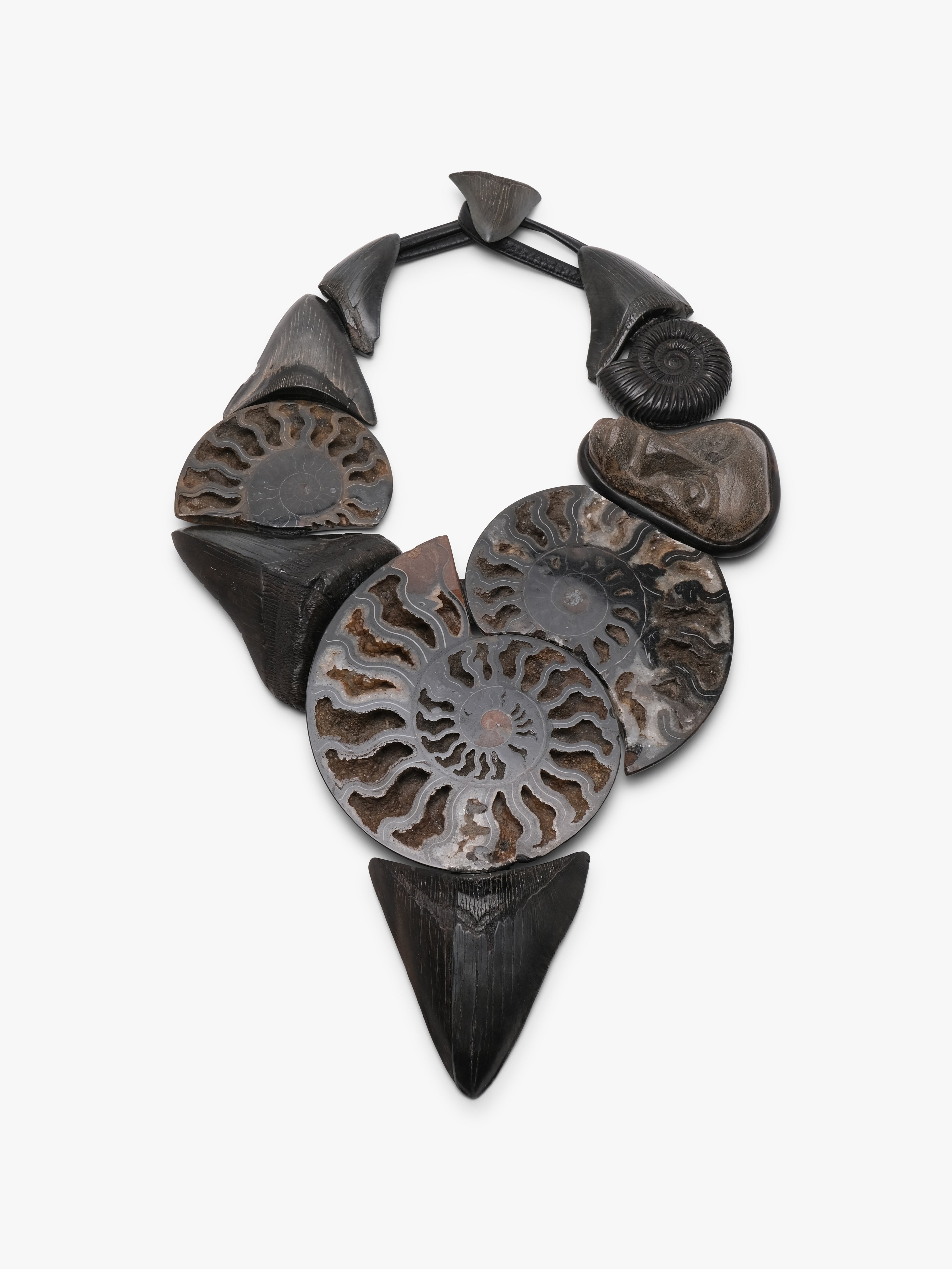 Necklace: prehistoric shark tooth, ammonites