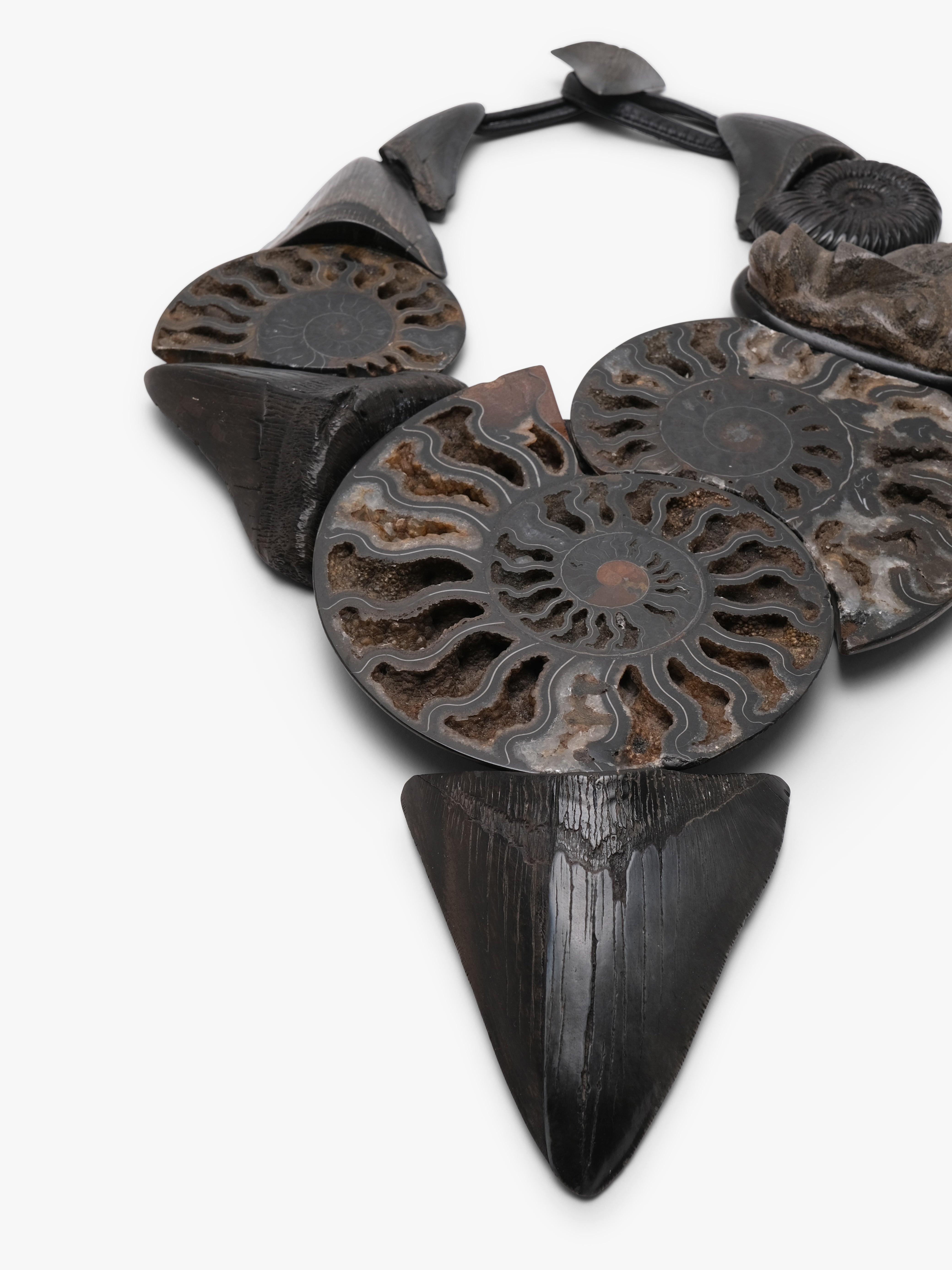 Necklace: prehistoric shark tooth, ammonites