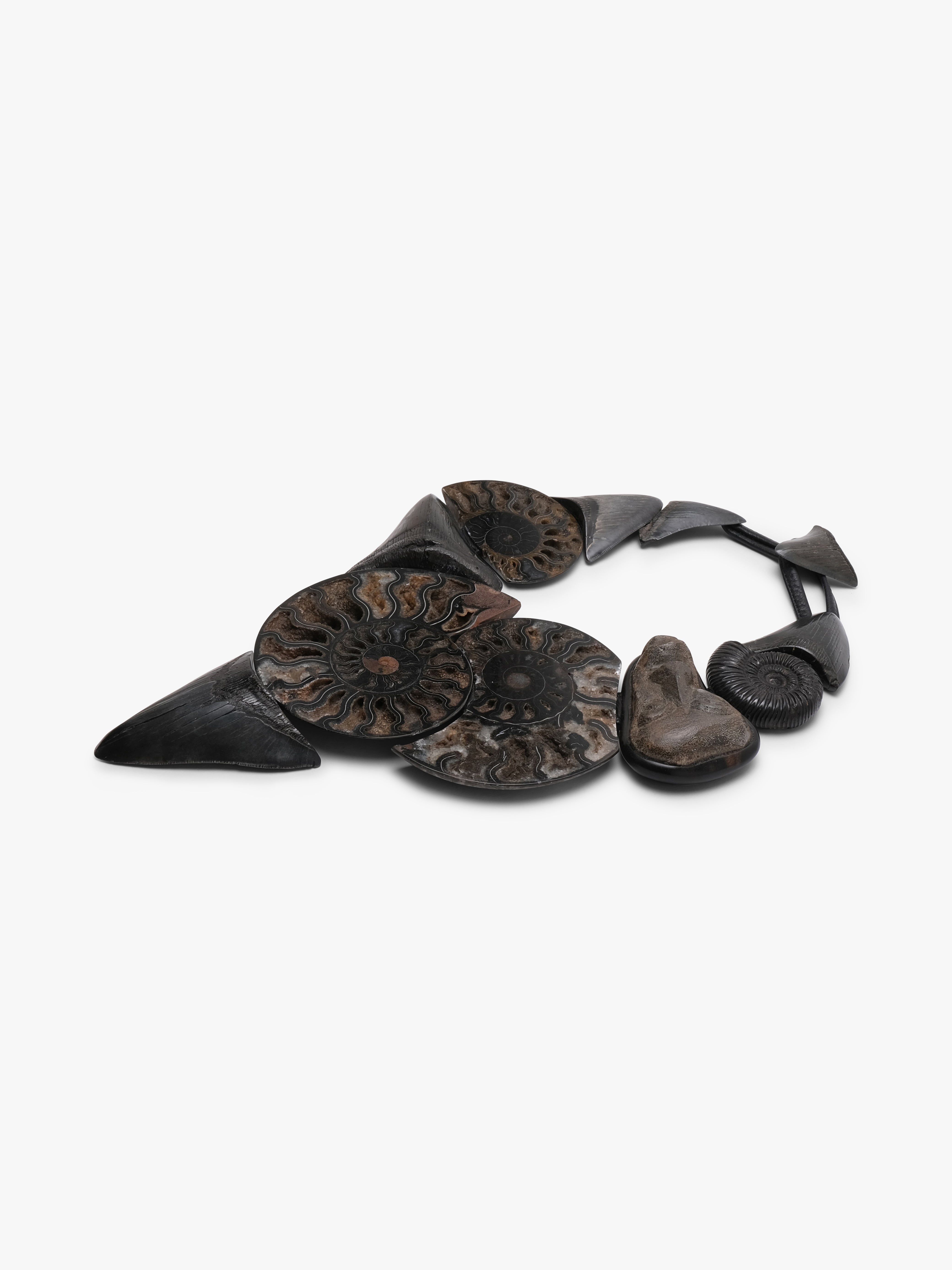 Necklace: prehistoric shark tooth, ammonites