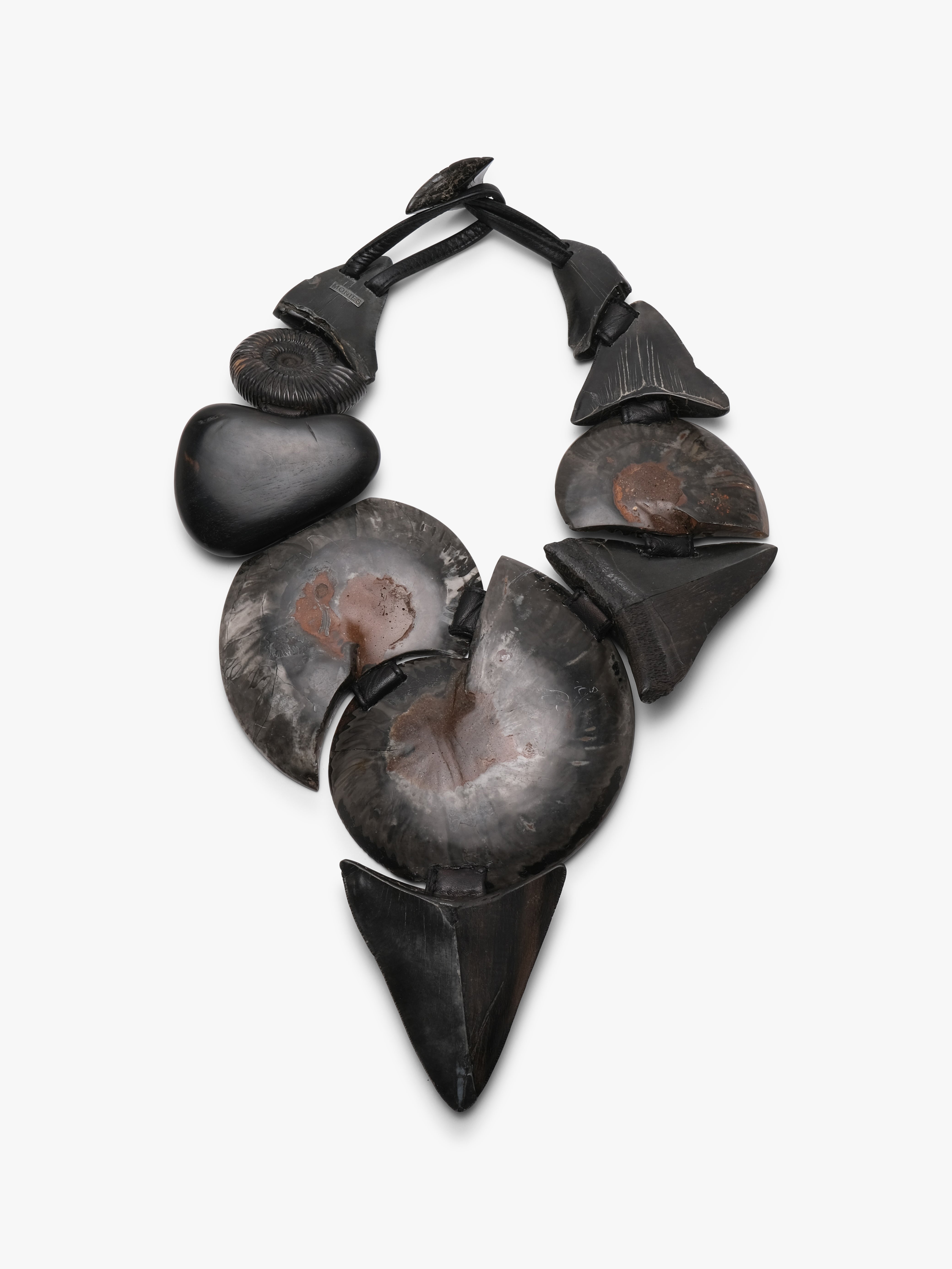 Necklace: prehistoric shark tooth, ammonites