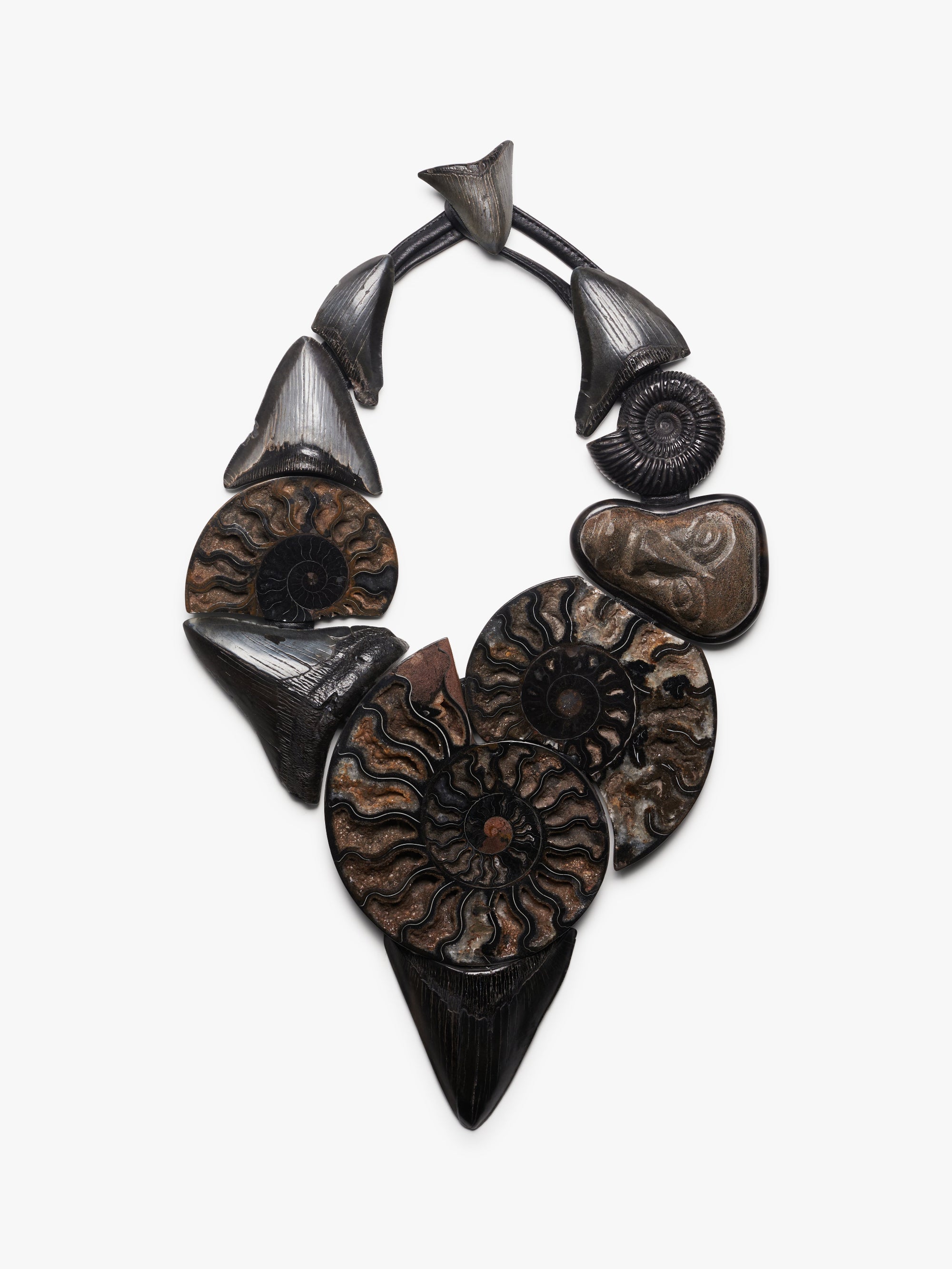 Necklace: prehistoric shark tooth, ammonites