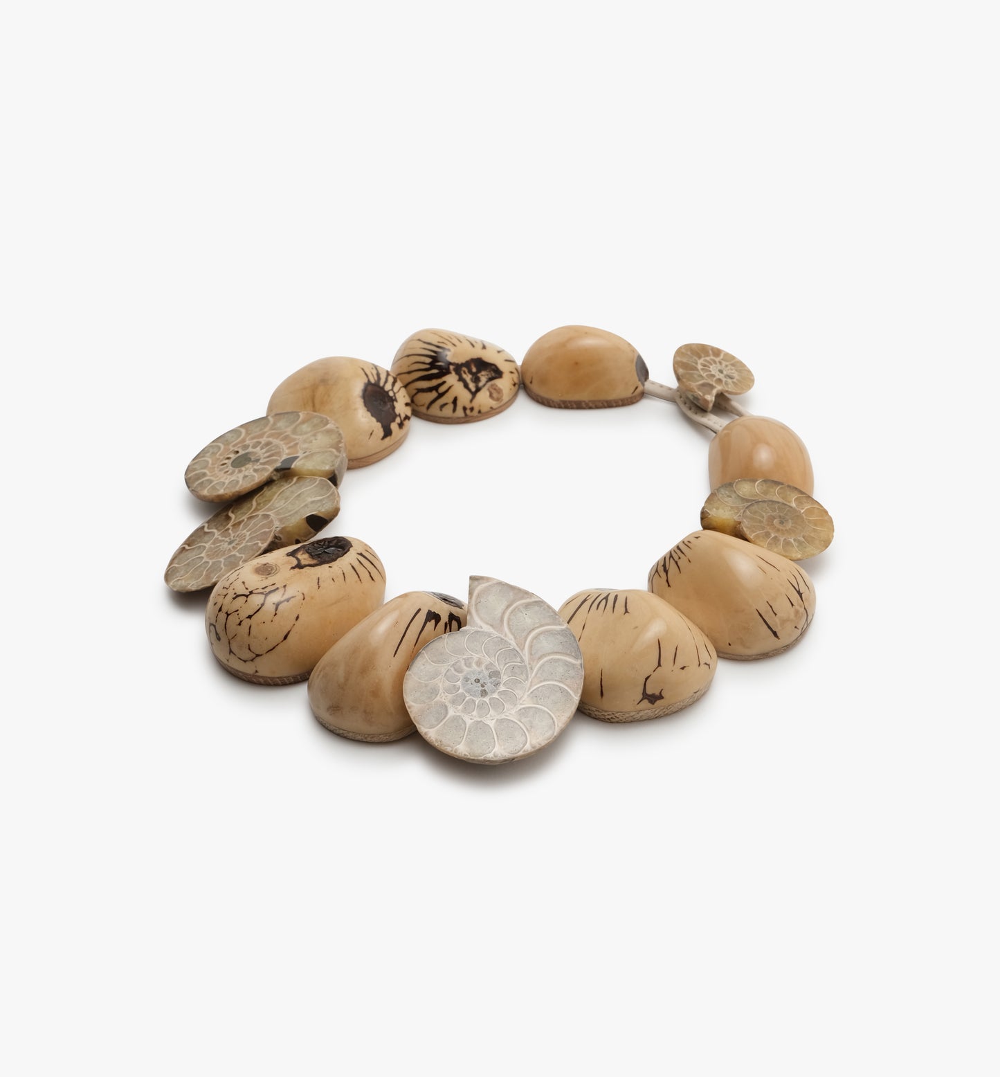 Necklace: ammonite, tagua nut, leather