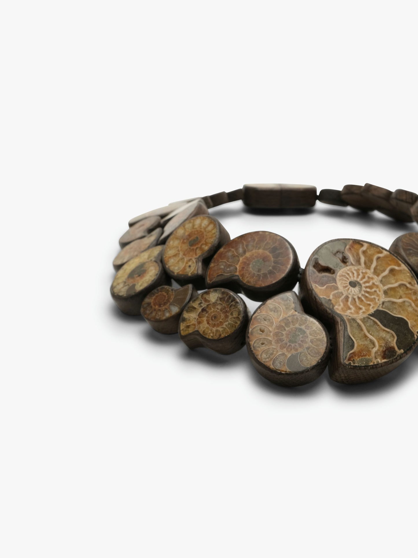 Necklace: ammonites, bog oak