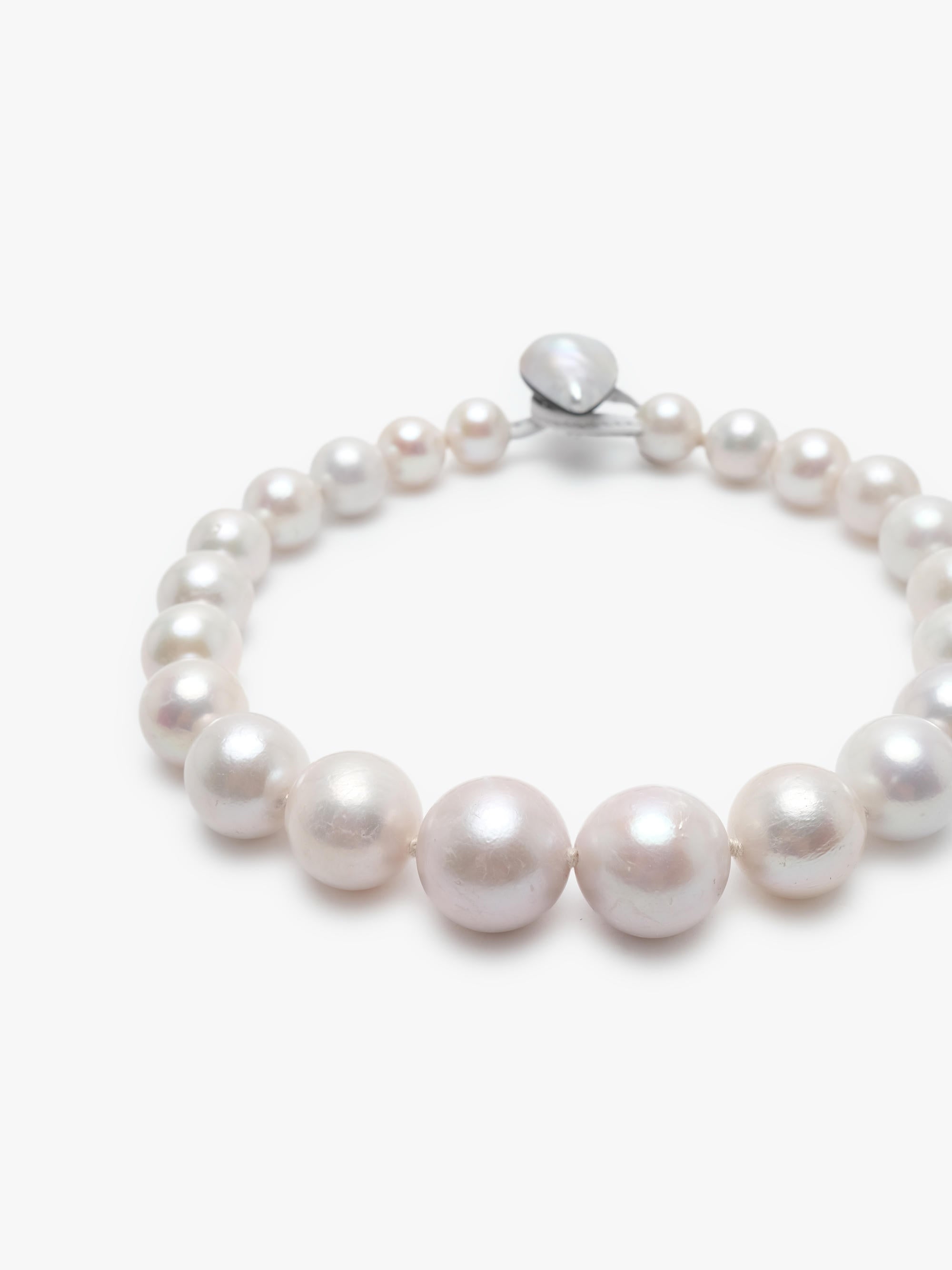 Pearl necklace on a white background