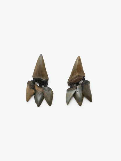 50th anniversary earclips: pehistoric shark tooth