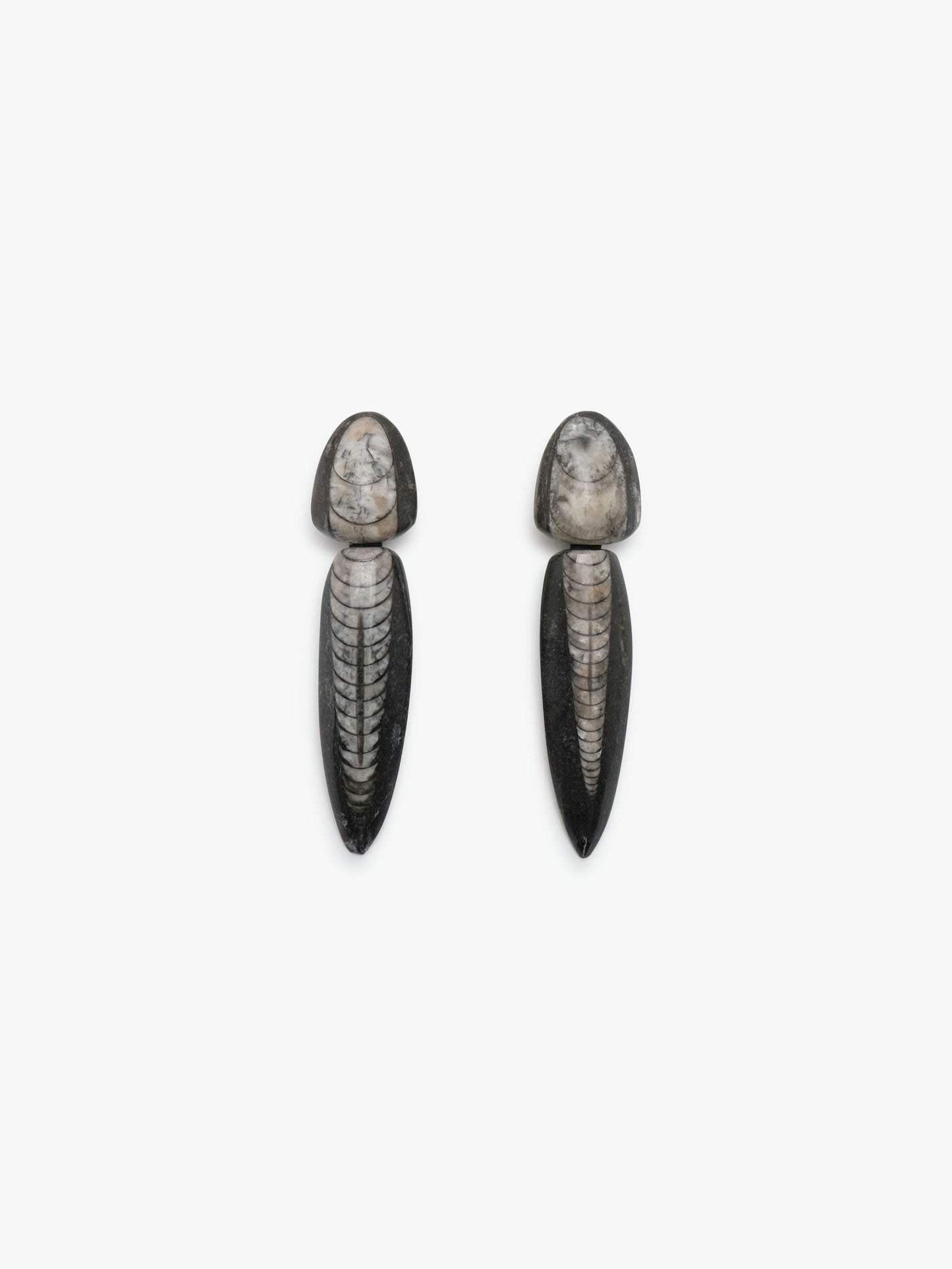 Earring: orthoceratites