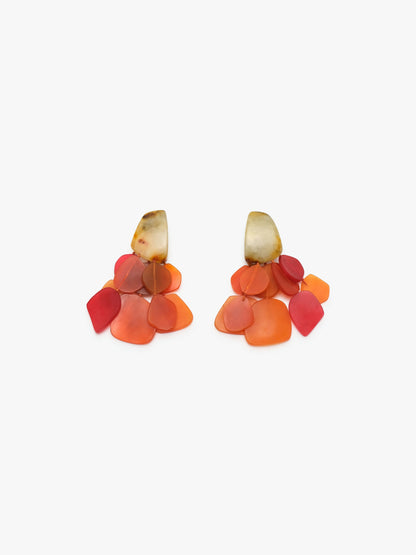 Earring: horn, amber