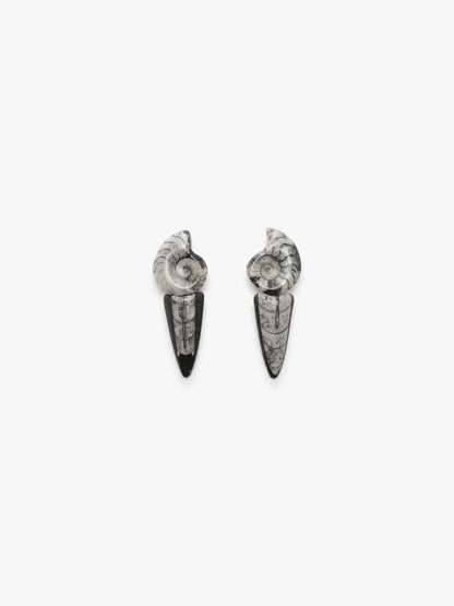 Earrings: ortoceratite, ammonite