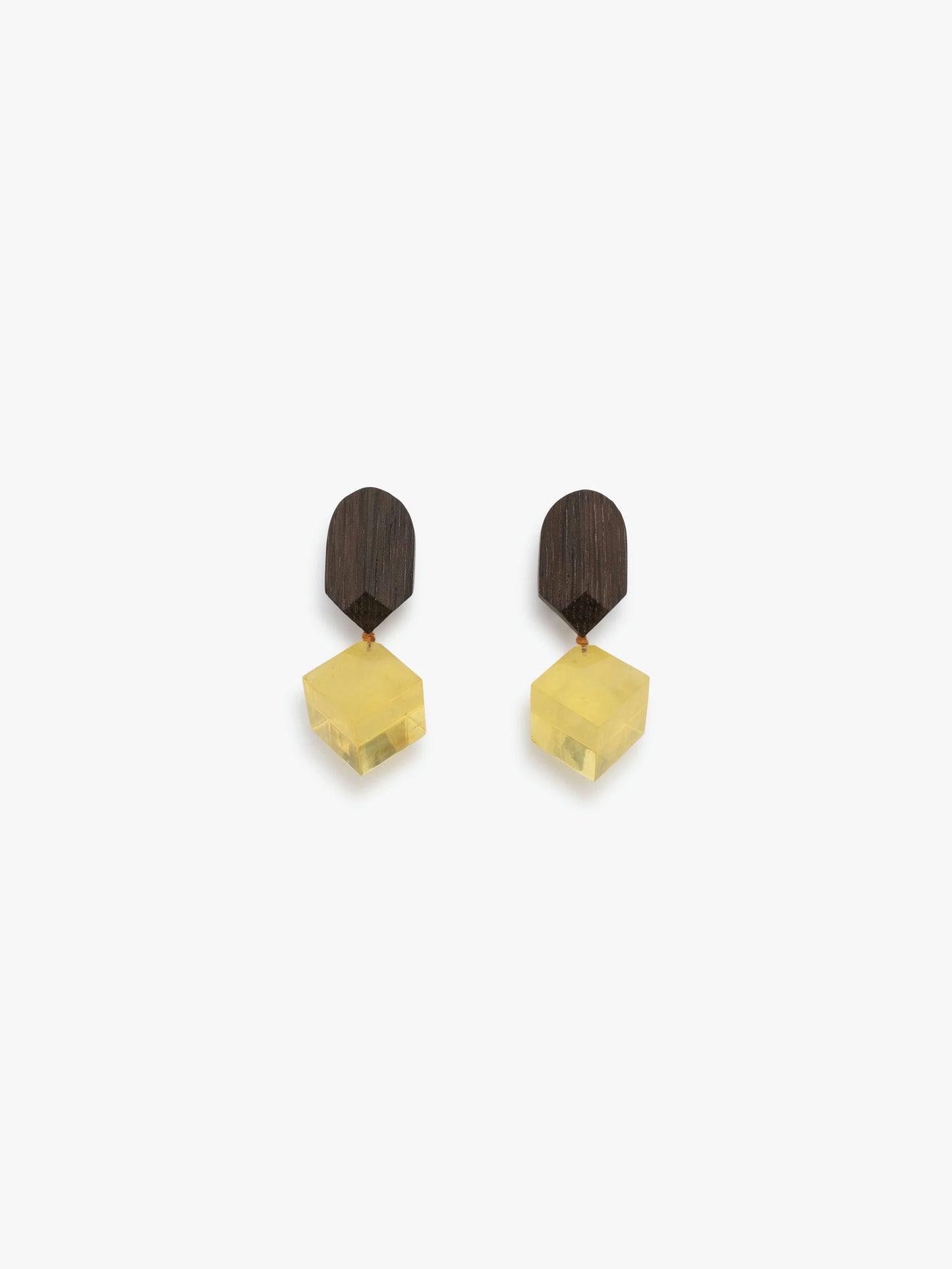 Earrings: bog oak, amber