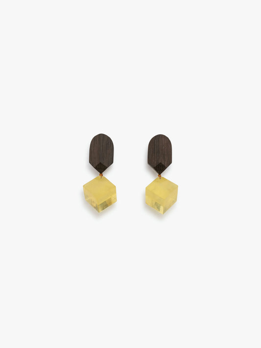 Earrings: bog oak, amber