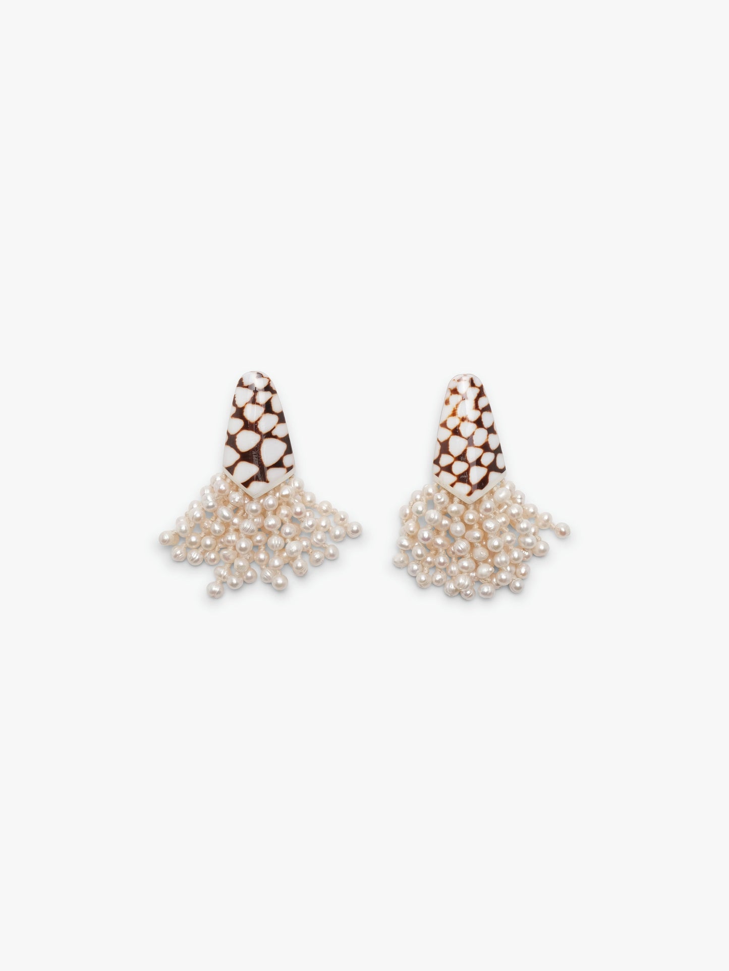 Earrings: cone shell, freshwater pearl