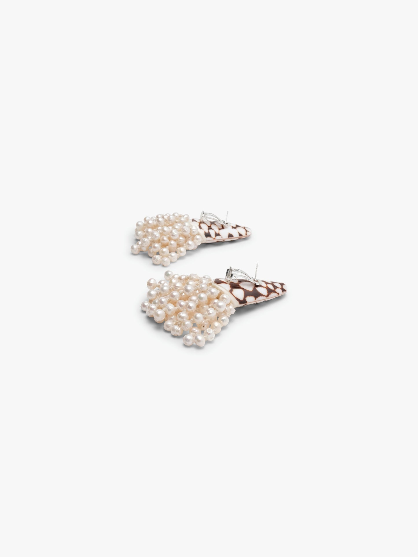 Earrings: cone shell, freshwater pearl