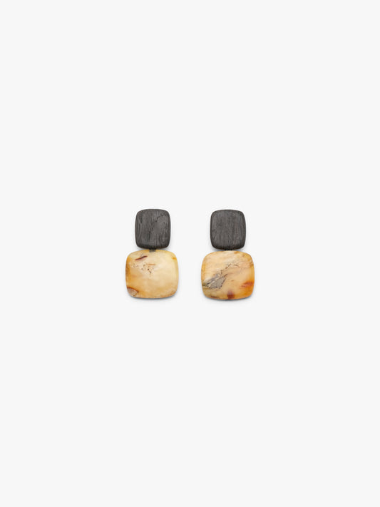 Earrings: bog oak, amber
