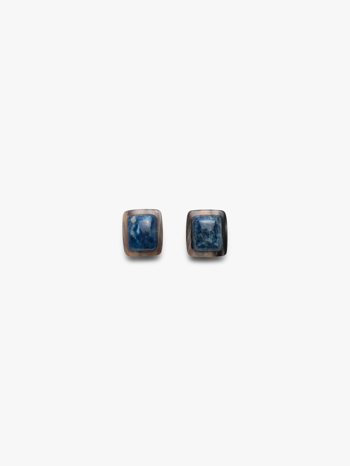 Earrings: apatite, horn