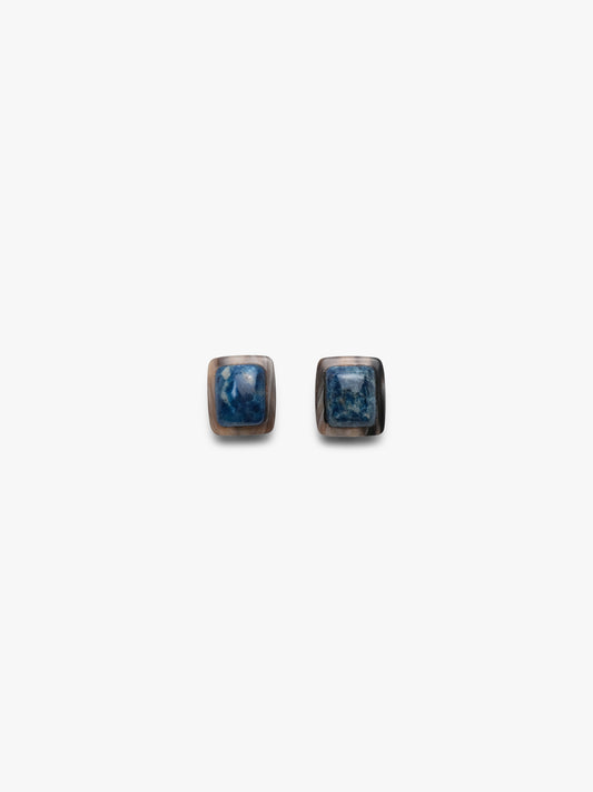 Earrings: apatite, horn