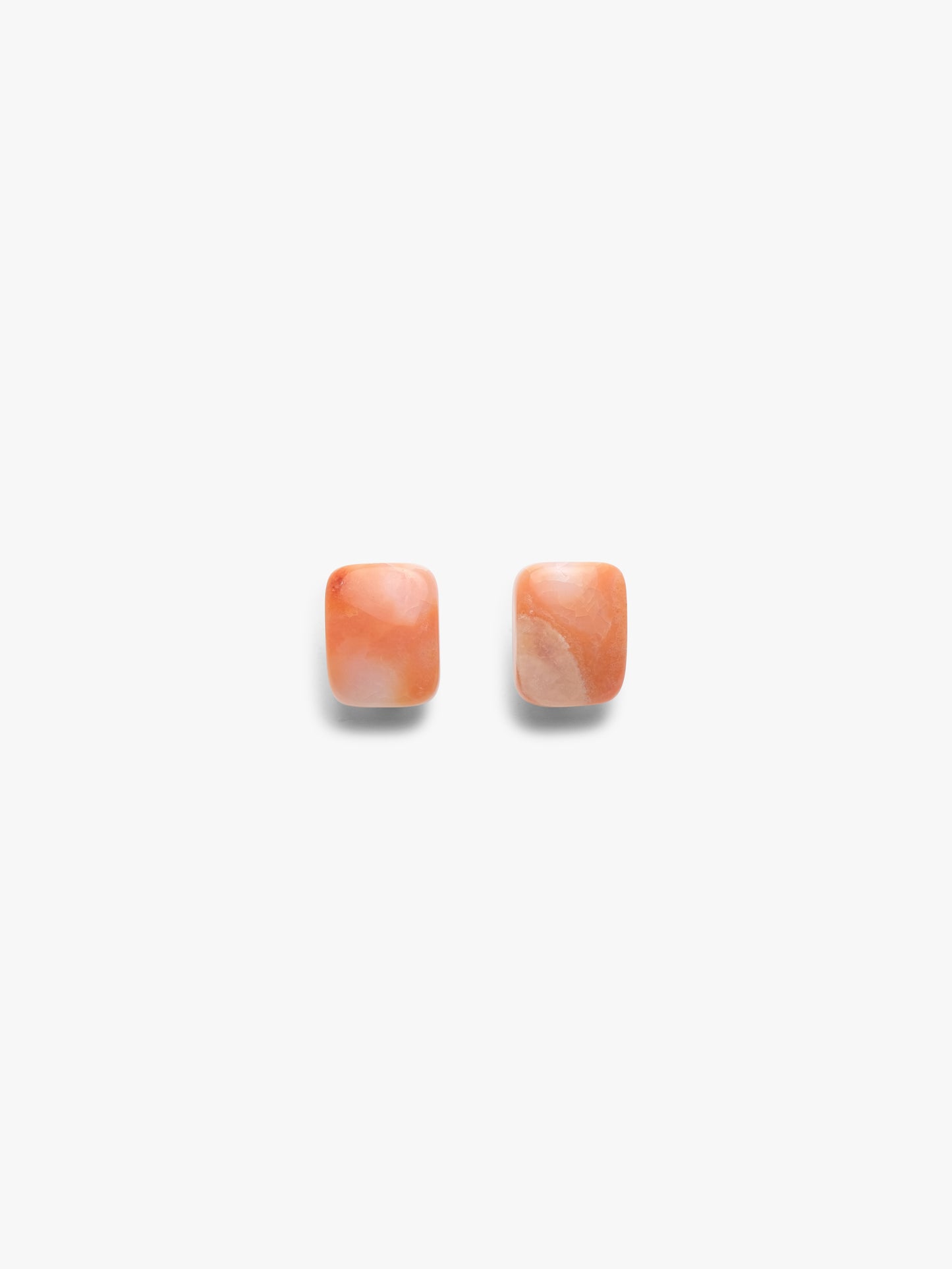 Earrings: carnelian, bone