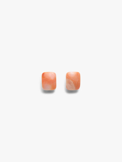 Earrings: carnelian, bone