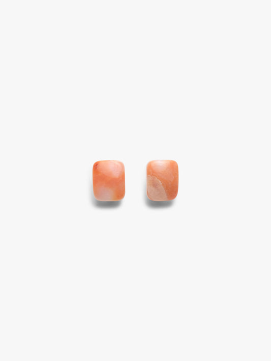 Earrings: carnelian, bone