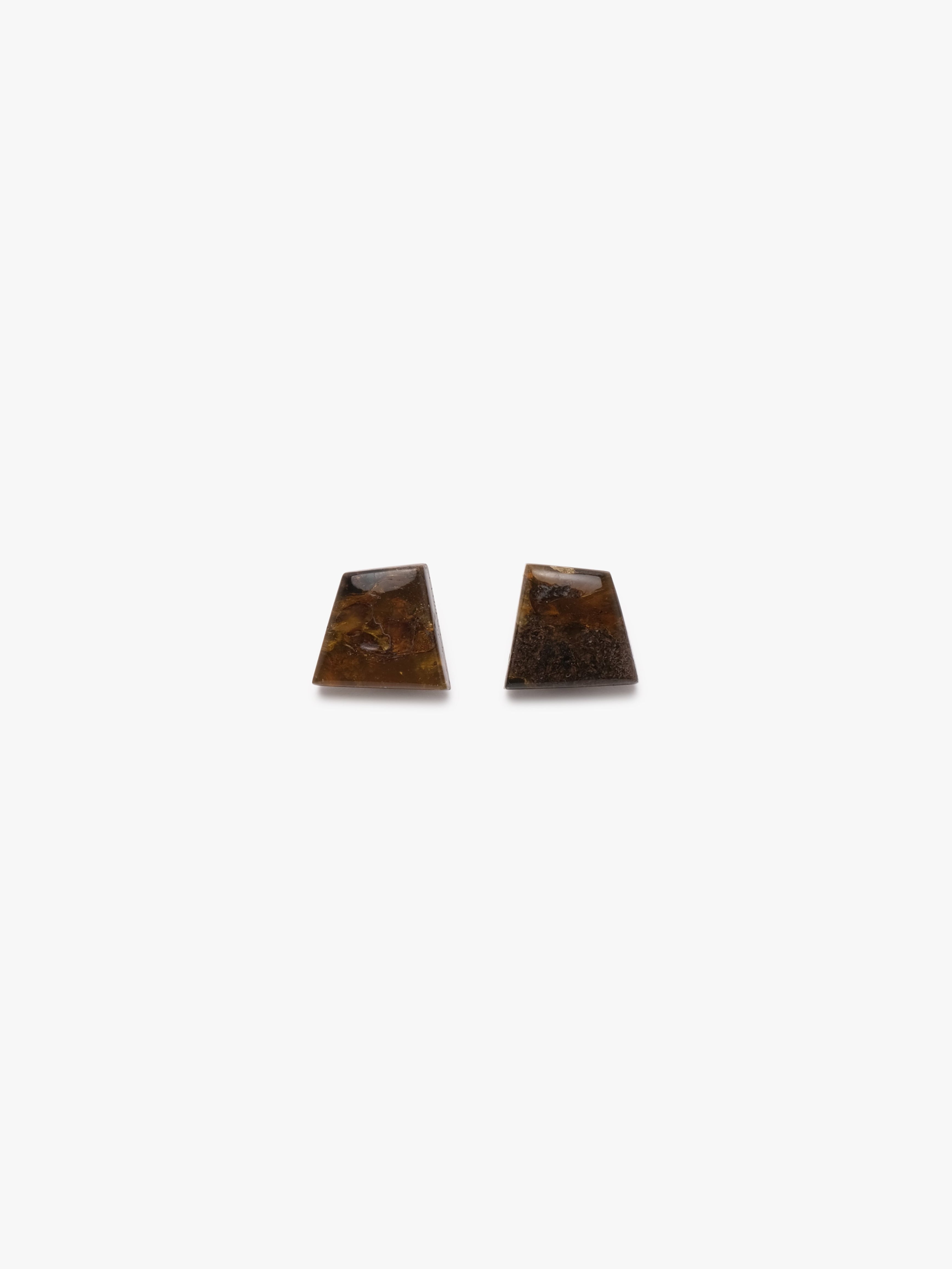 Earrings: amber, bog oak