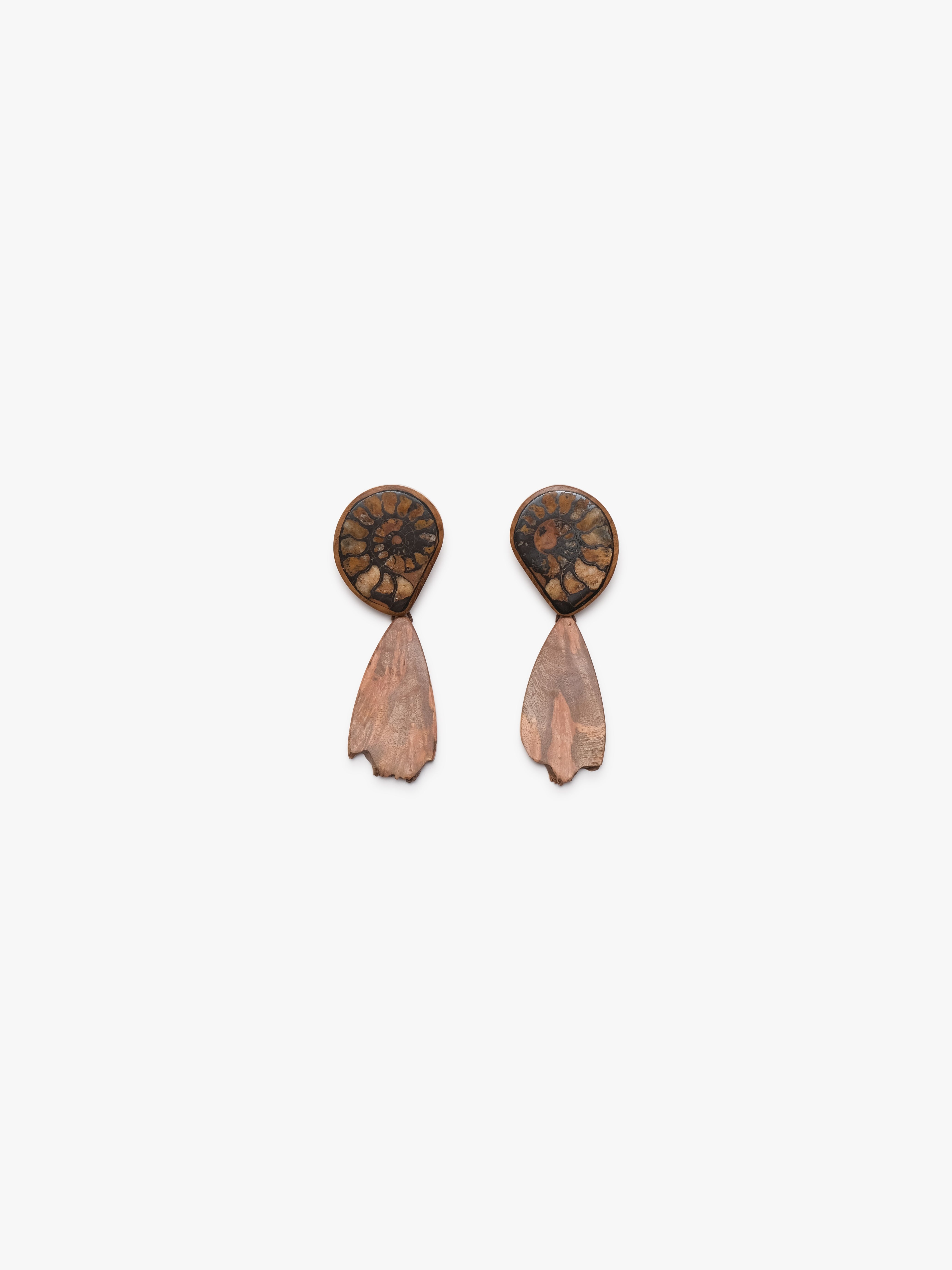 Earrings: ammonite, briar root