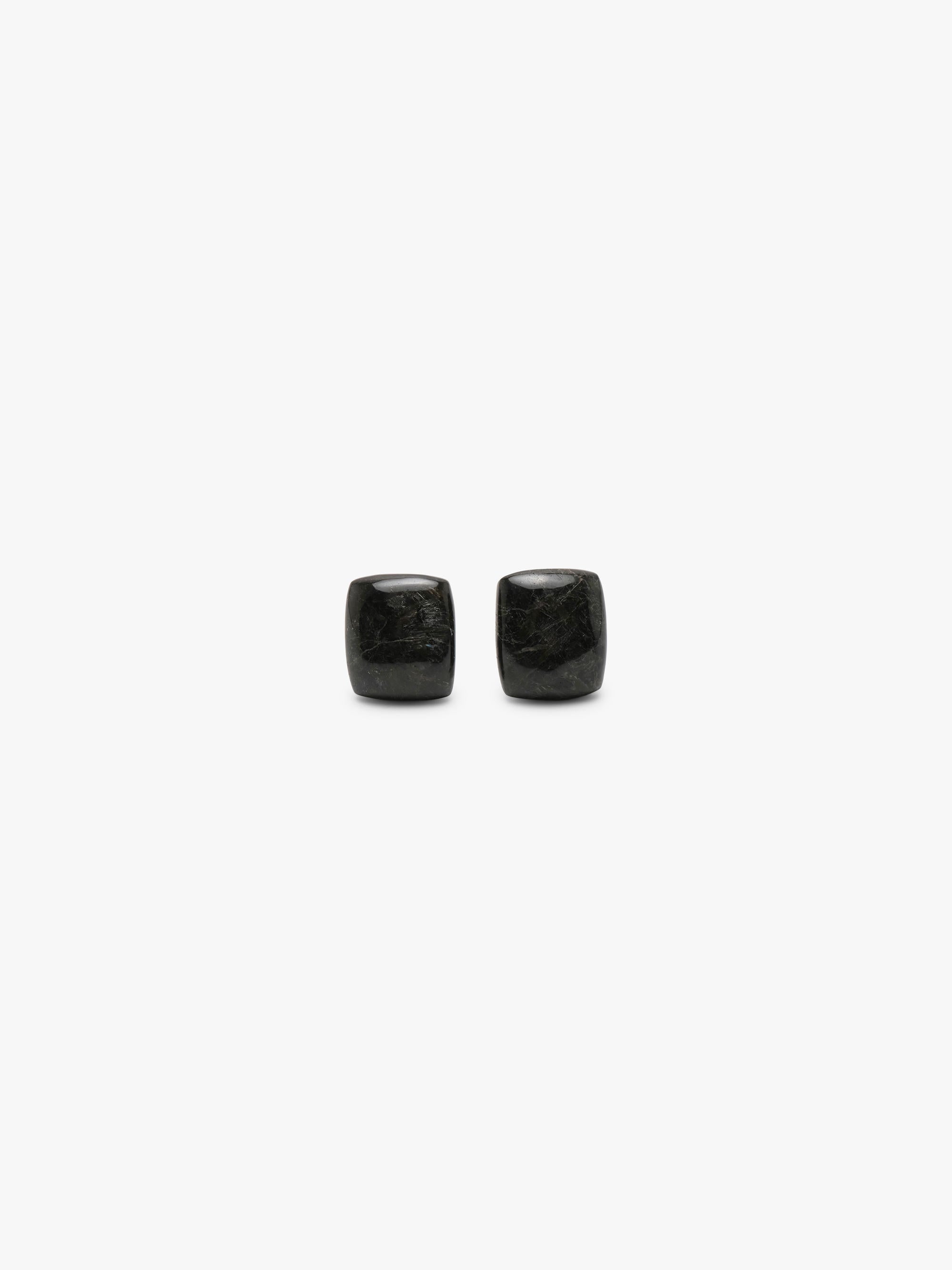 Earrings: nuummite