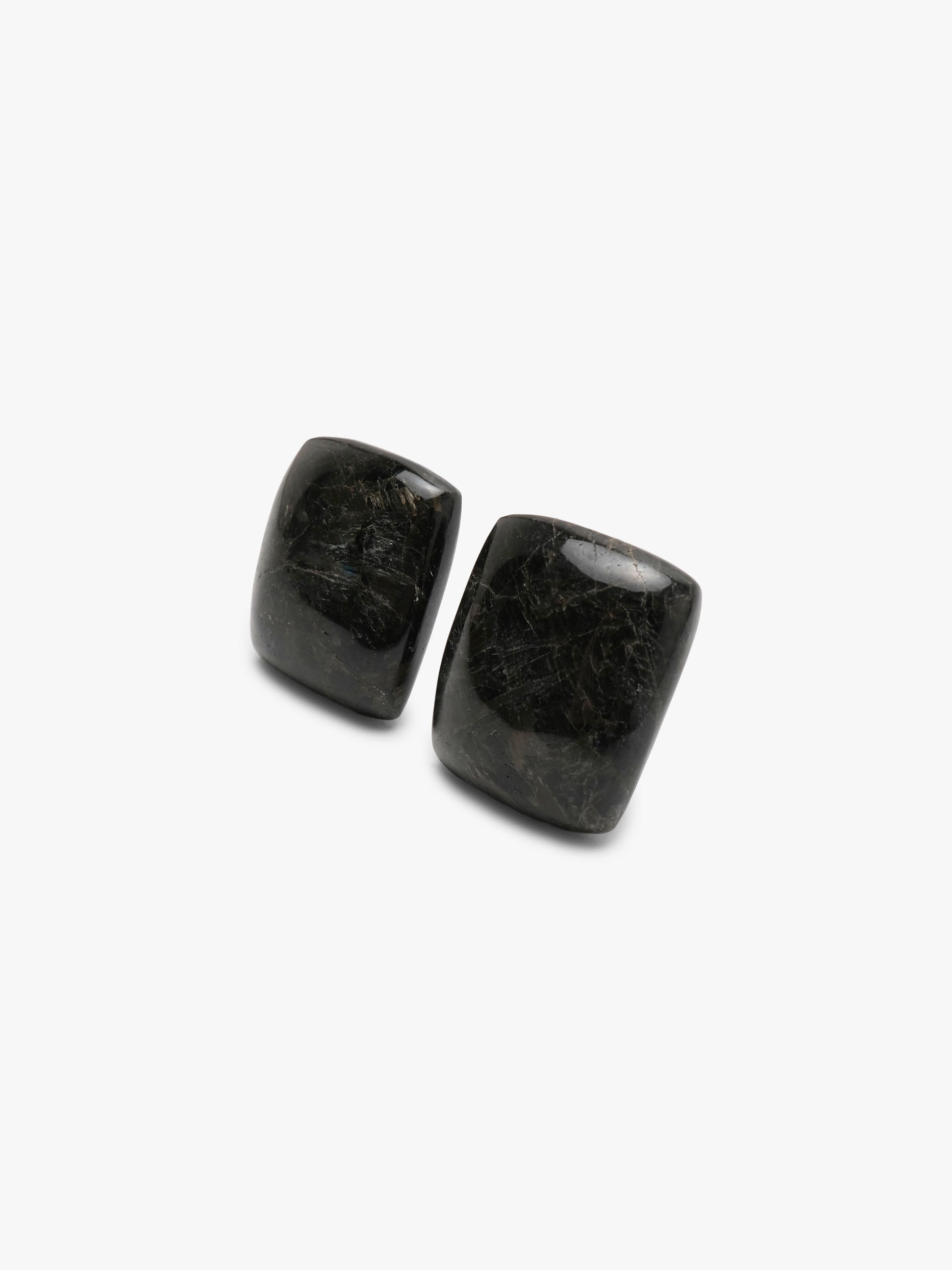 Earrings: nuummite