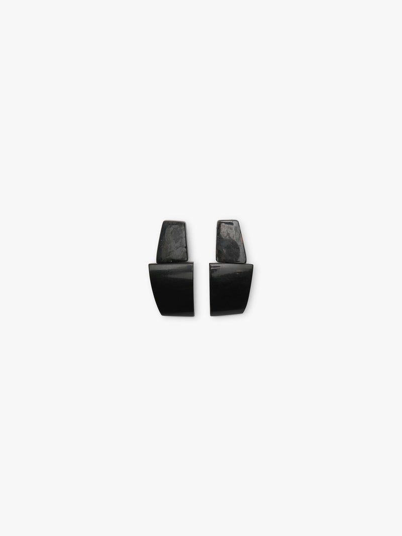 Earrings in nuummite, horn