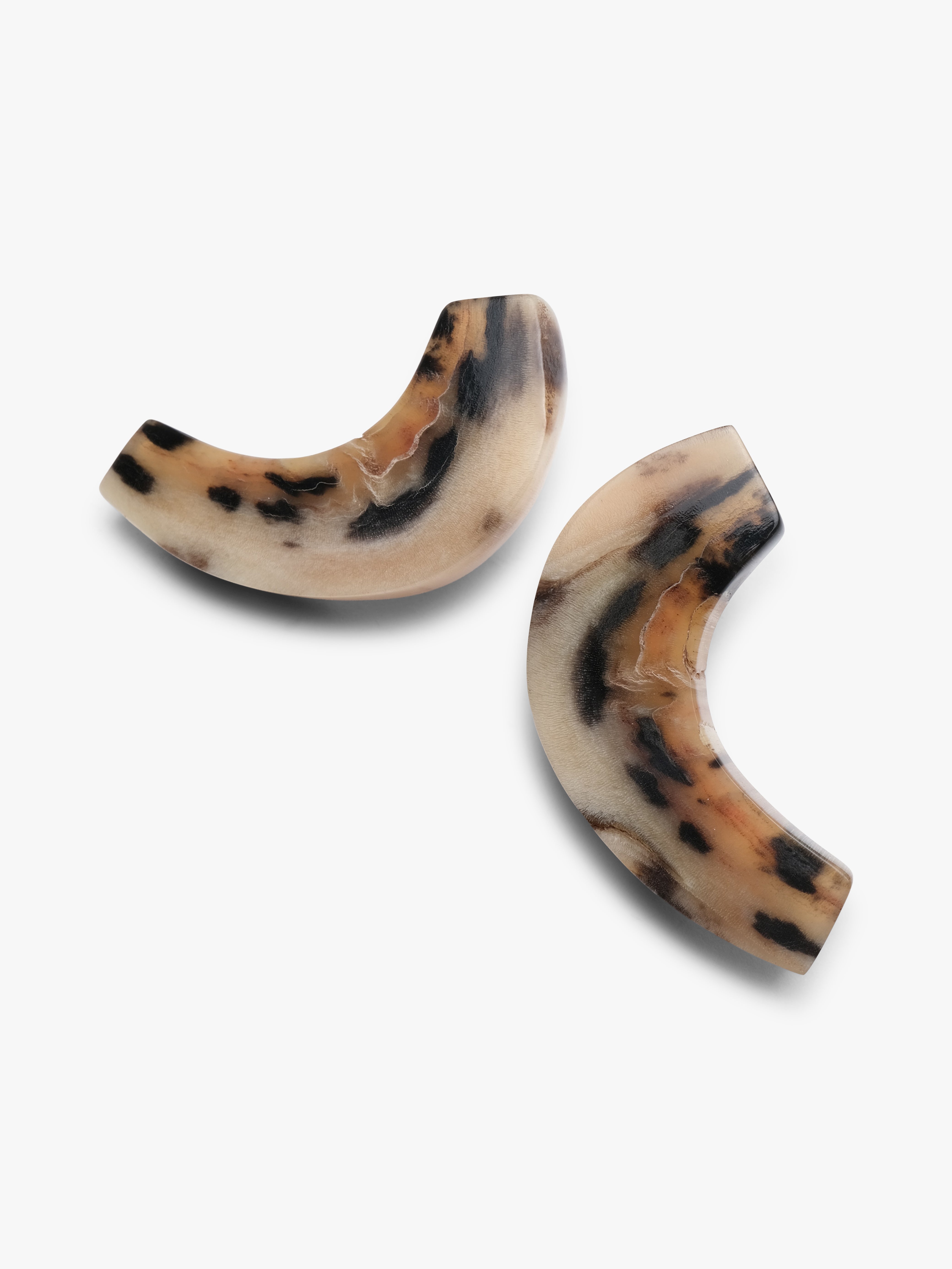 Two curved earringsin horn on a white background