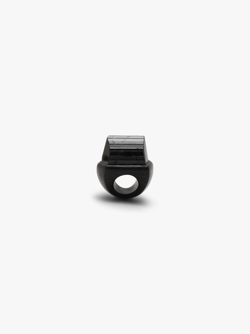 Ring: black tourmaline, bog oak