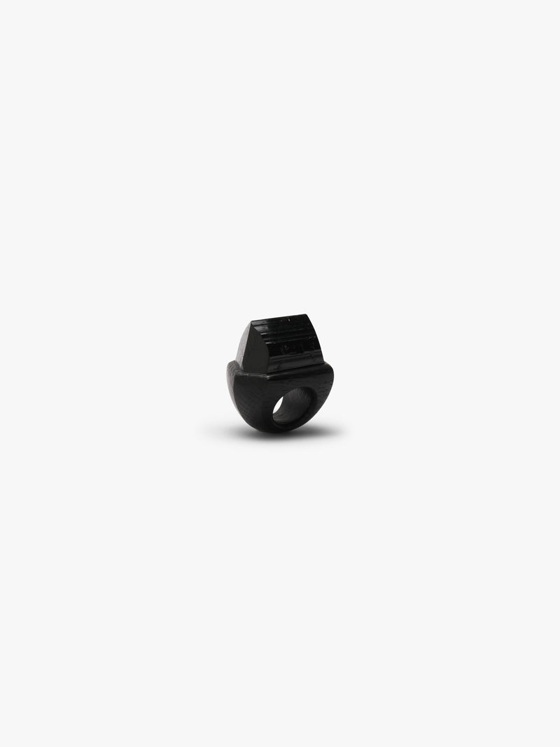 Ring: black tourmaline, bog oak