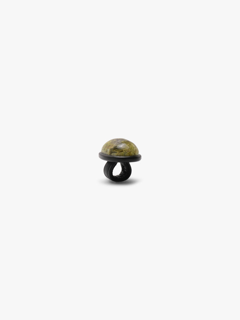 Ring: serpentine, ebony, leather