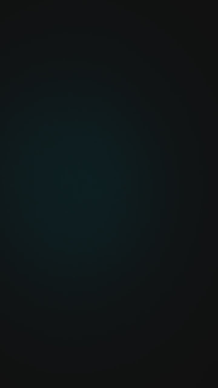 Maya stud earring: bog oak