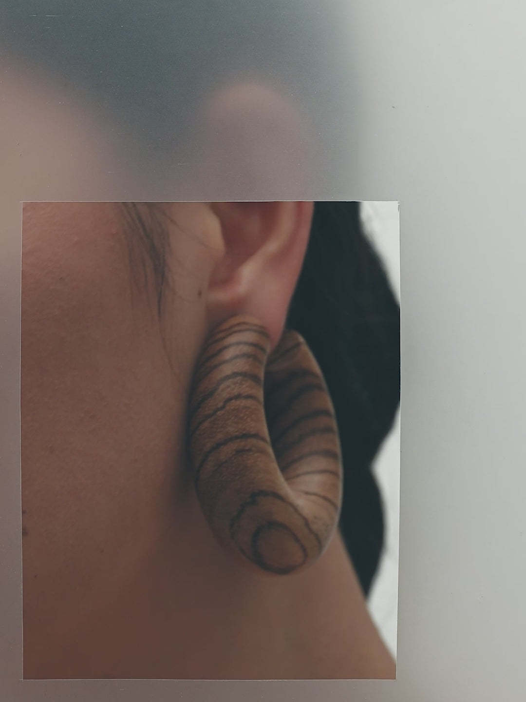 Orbis pin earrings: zebrano wood