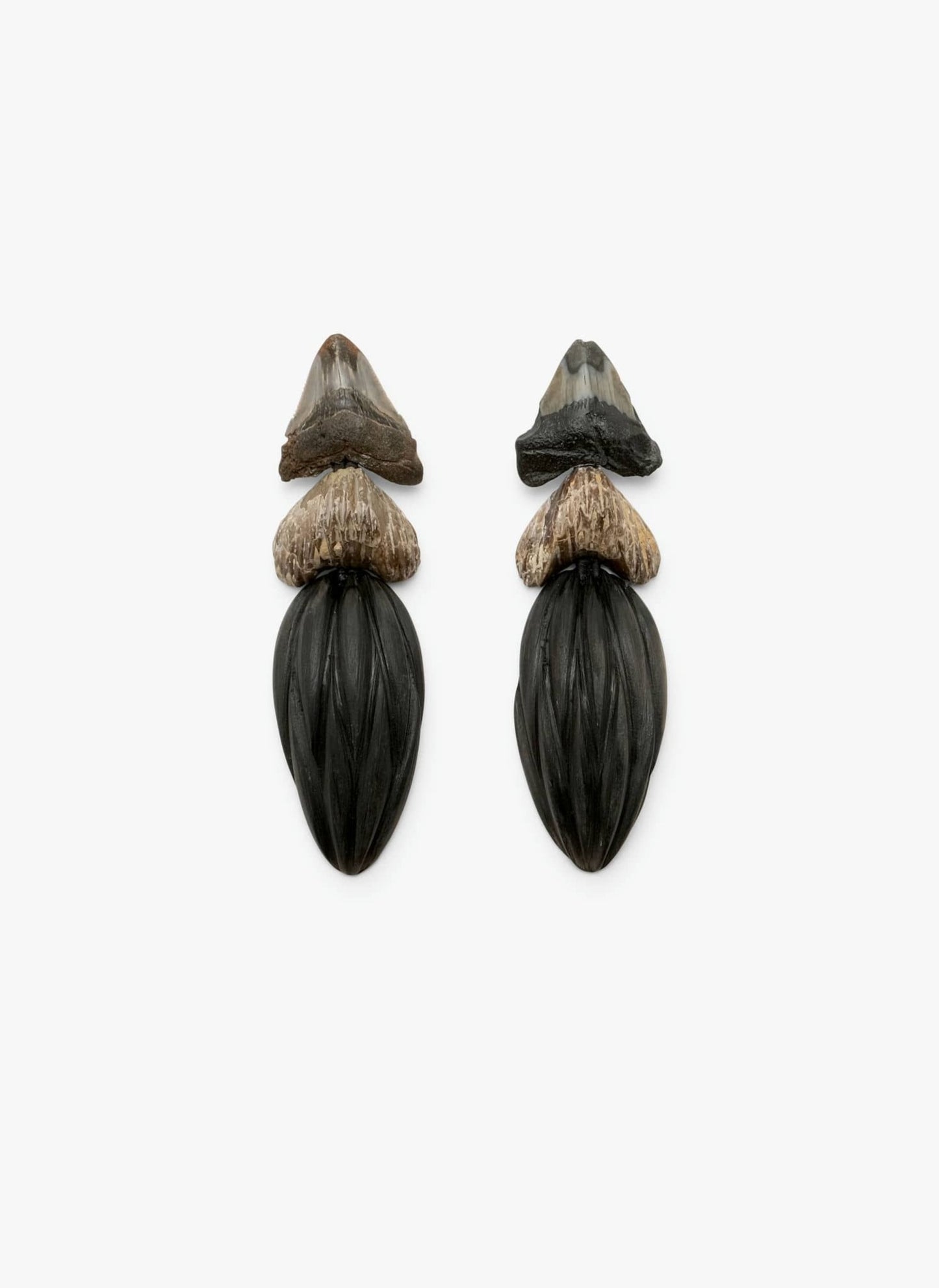 Earclips: shark tooth, mussel, ebony